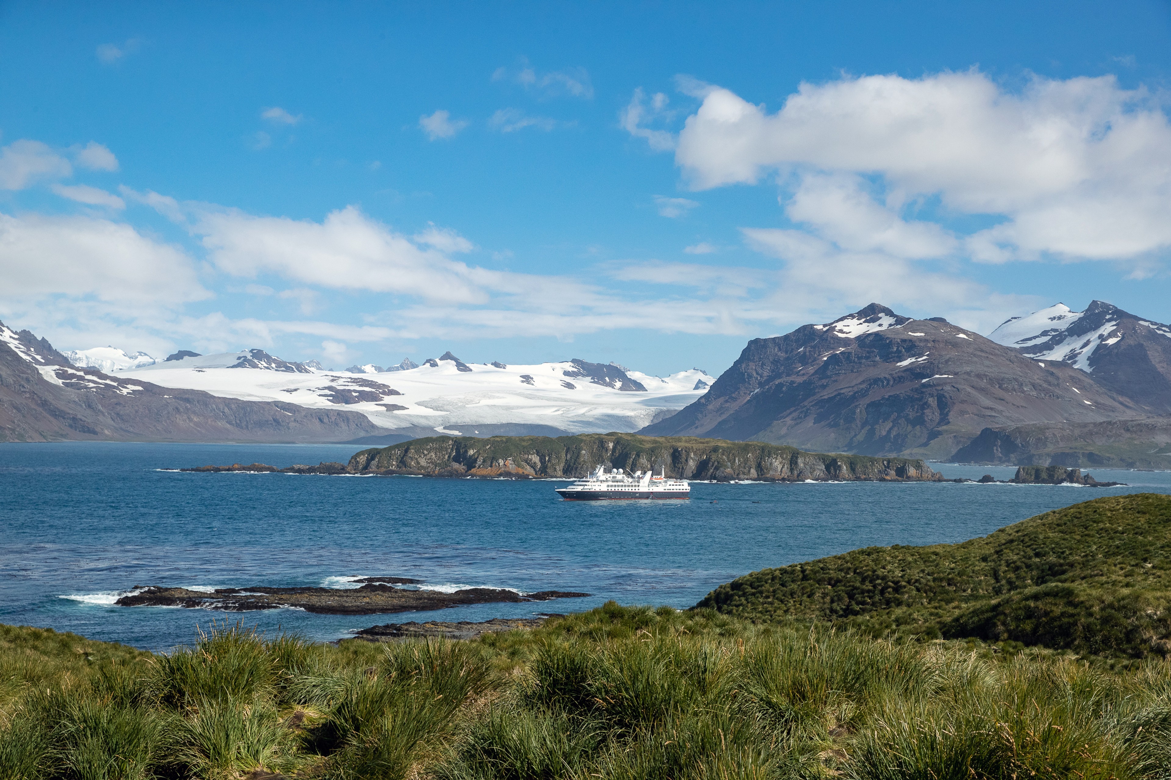Silver Explorer, taken from Prion Island, South Georgia/Benn Berkeley