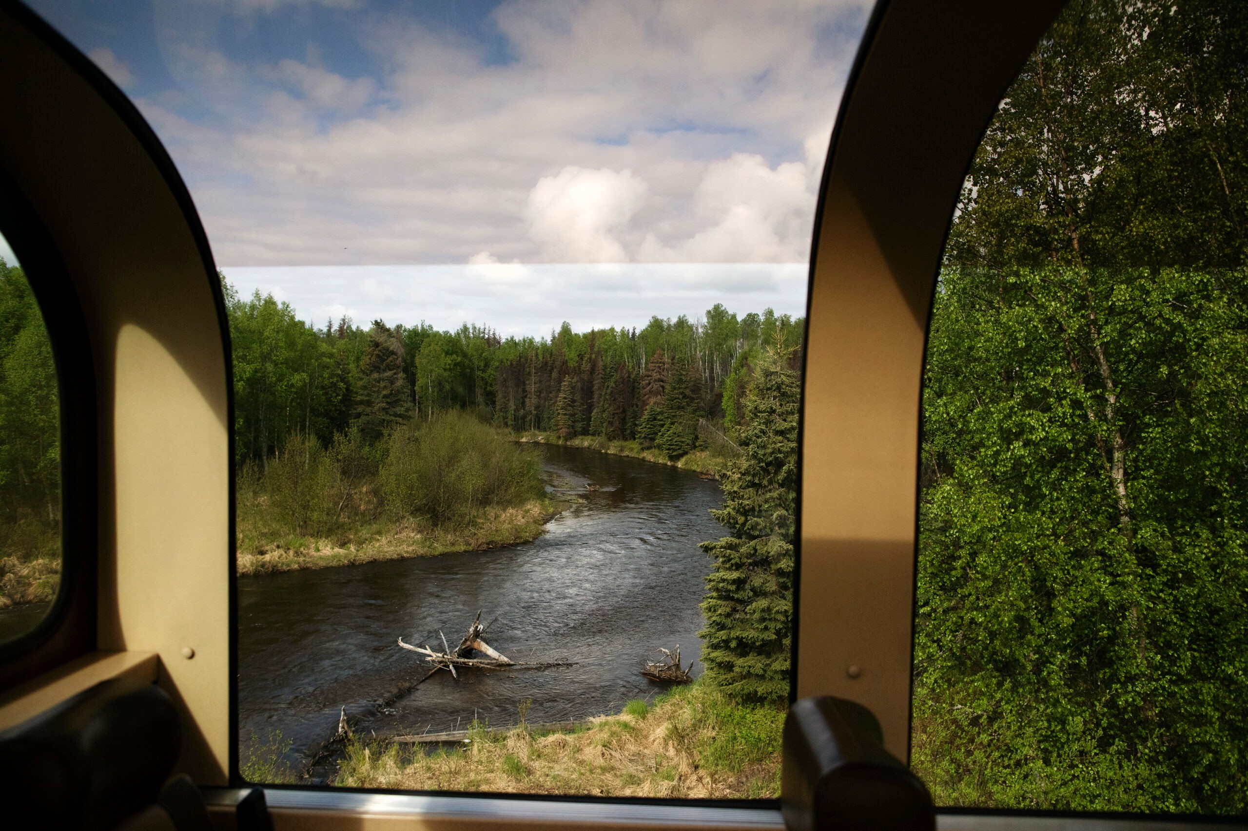 The view from the Denali Star train./Lucia Griggi