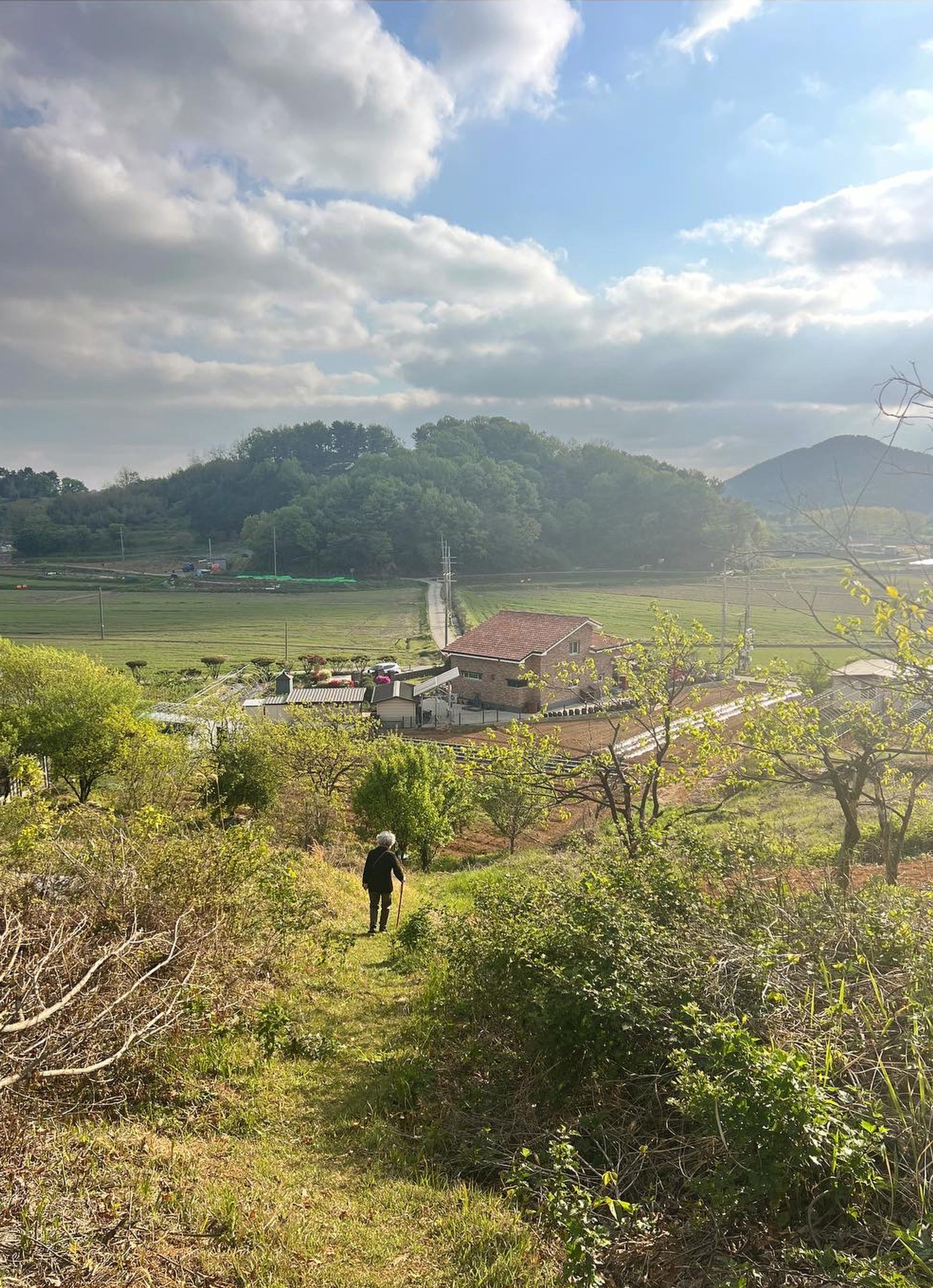 The path down from the family's burial plot in Gunsan, South Korea./Photo by Kate P. Kuo