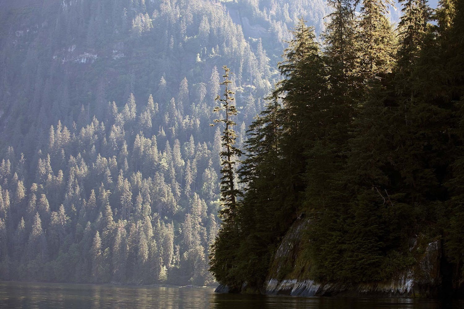 The Misty Fjords in Alaska, an ecosystem that is heavily affected by salmon./Lucia Griggi