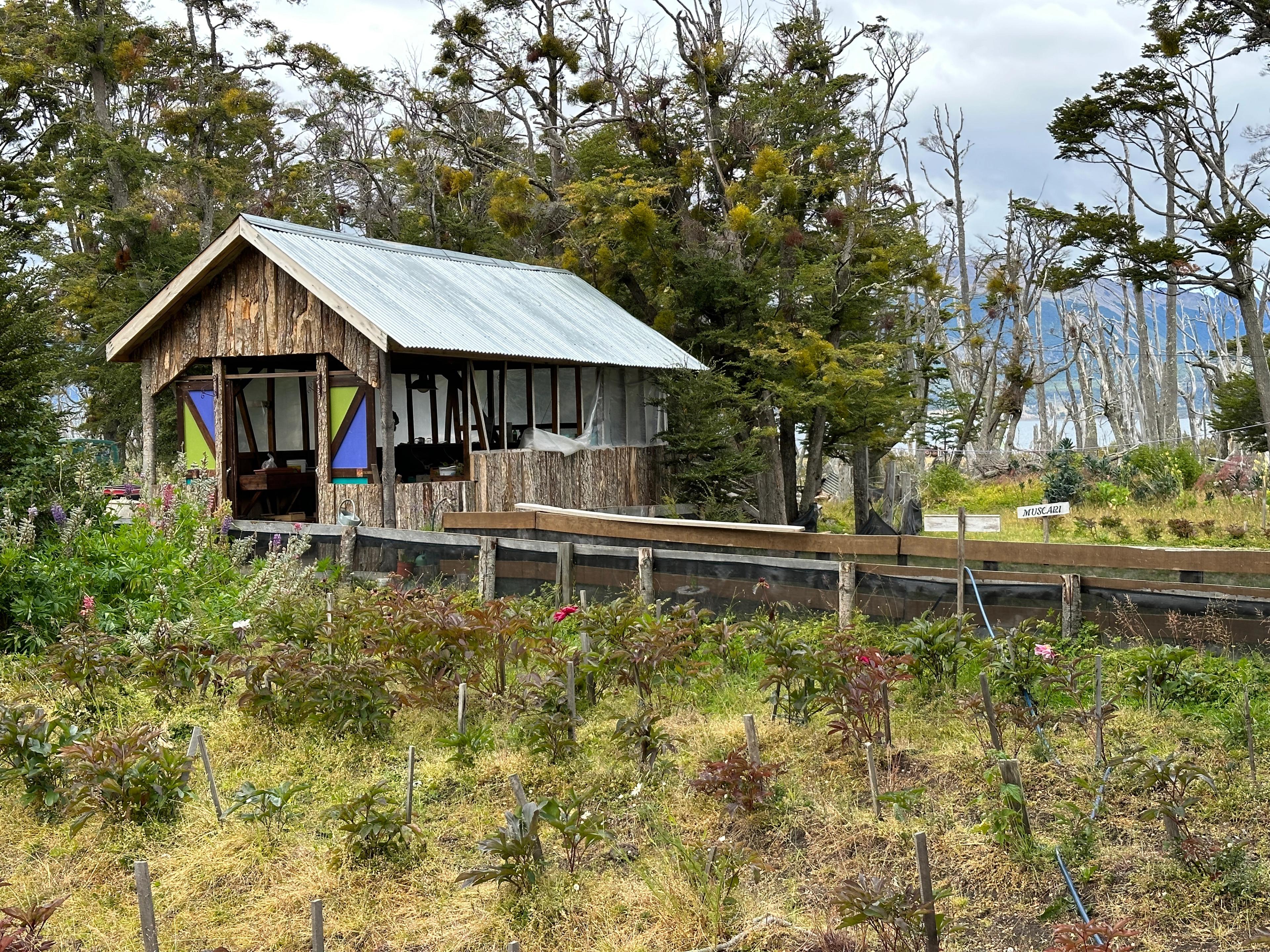 An unexpected detour to Patagonia adds depth to our Antarctica experience