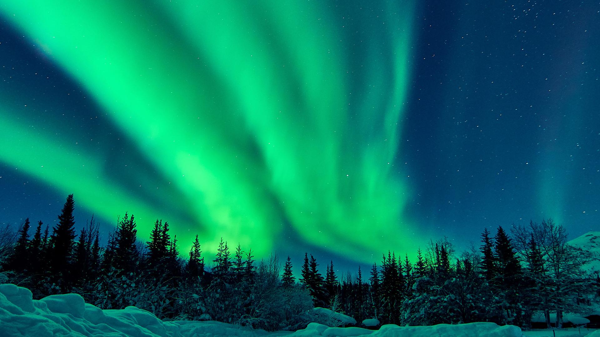 What Makes Alaska Shine Brightly? An Insider Shares What’s Quirky and Captivating