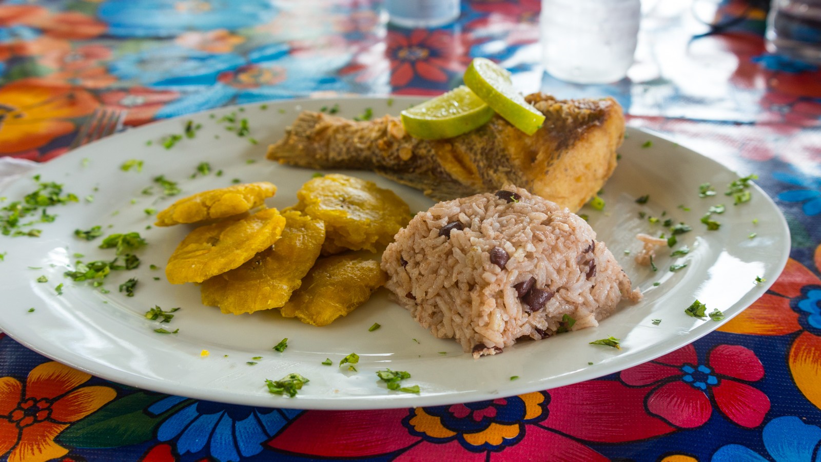 S.A.L.T Spotlight: Central America Tells a Story Through Culinary Experience