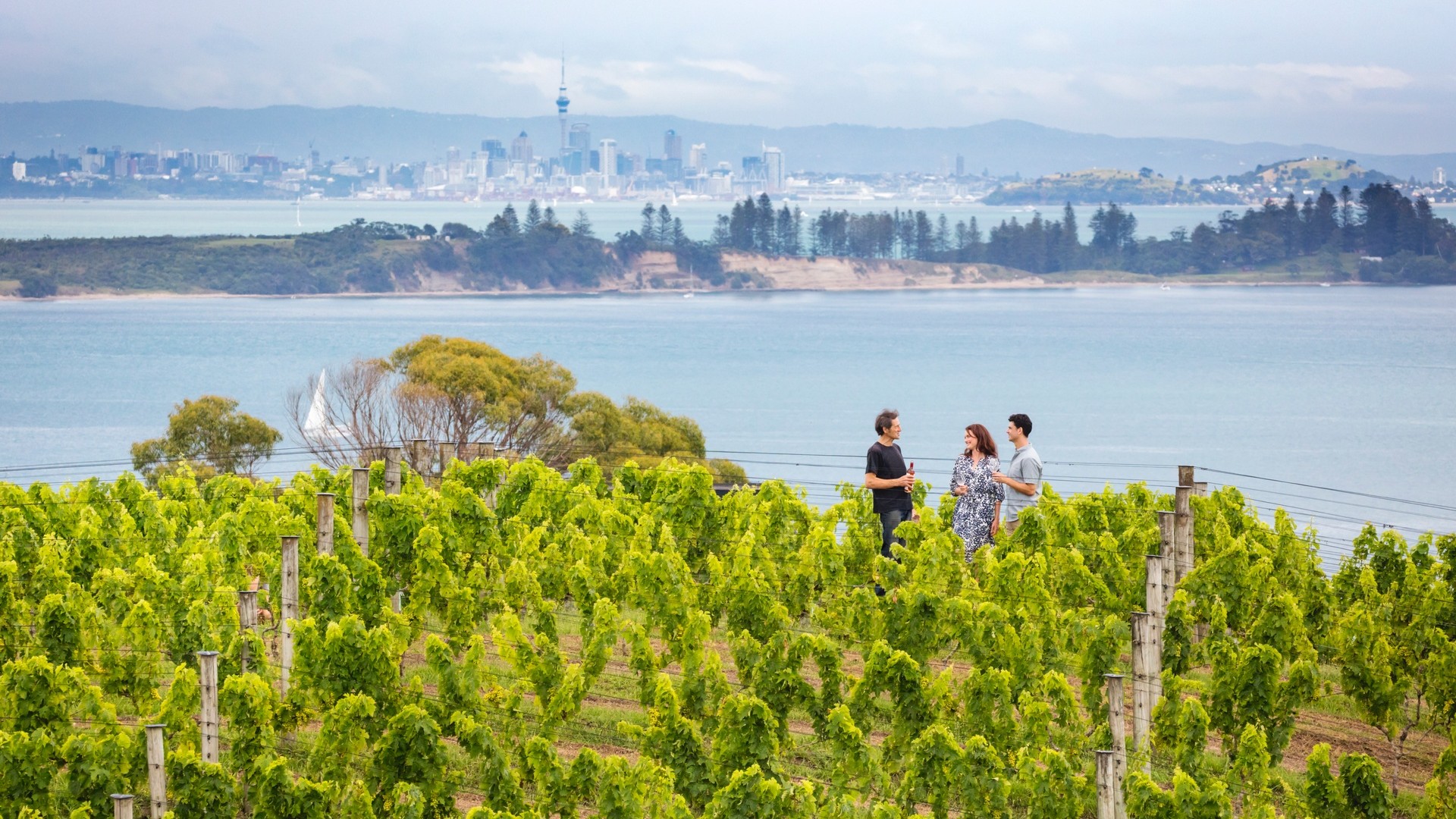 Exploring Auckland’s Islands by Ferry: Our Favorite Adventures