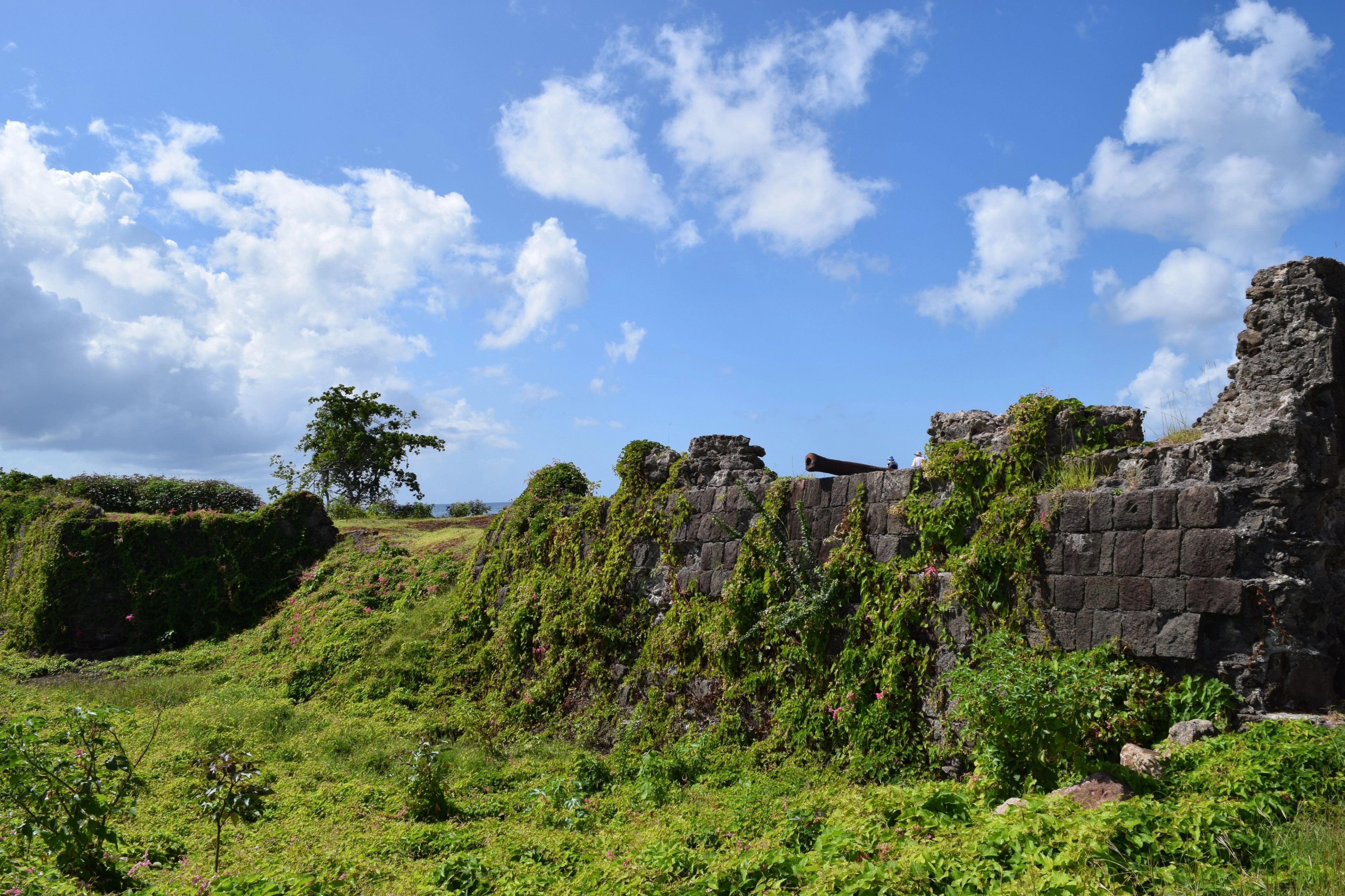 Nature has reclaimed what's left of Fort Charles./Jorge Oliver