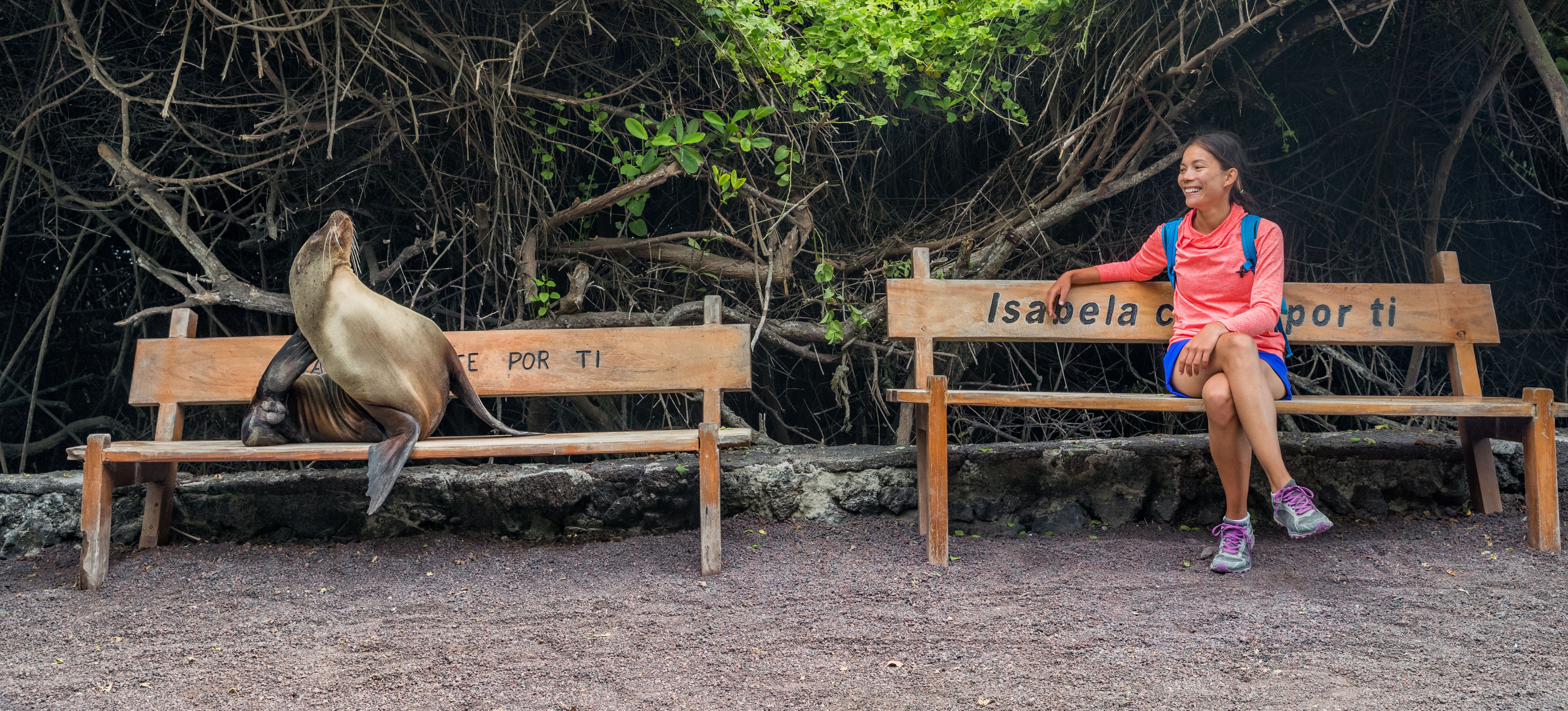 Everything You Need to Know About the Galápagos Islands