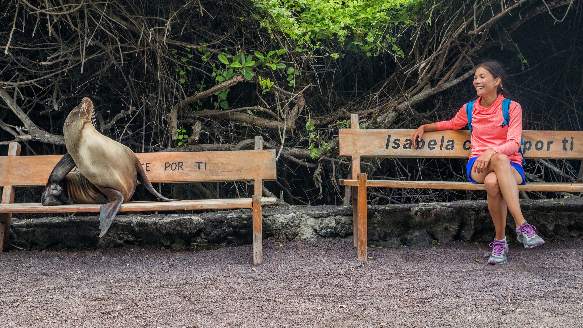 Everything You Need to Know About the Galápagos Islands