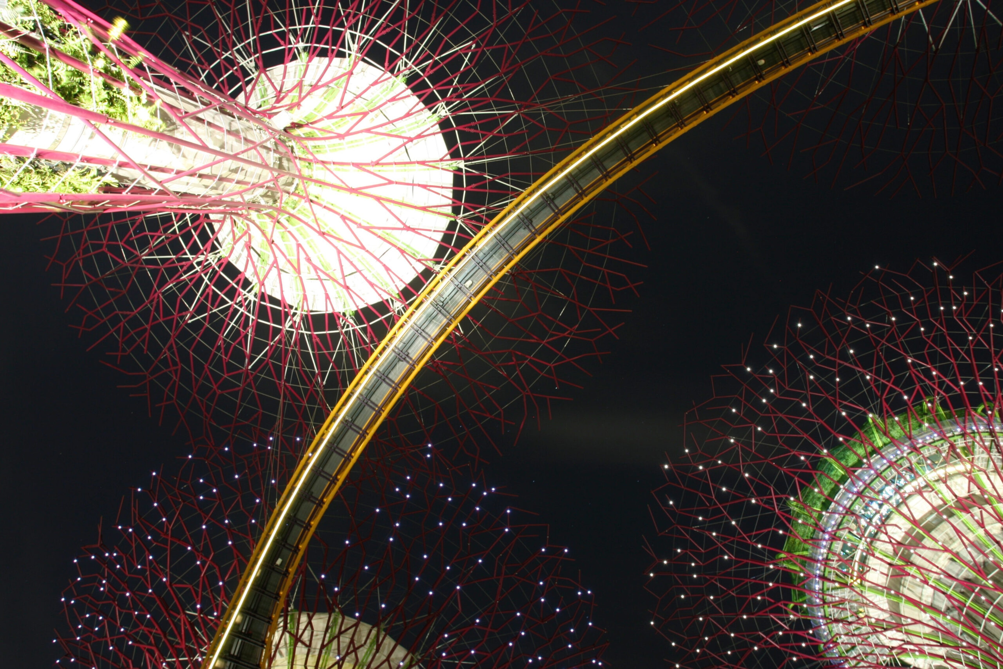 Supertrees in Singapore's Gardens by the Bay/Getty Images