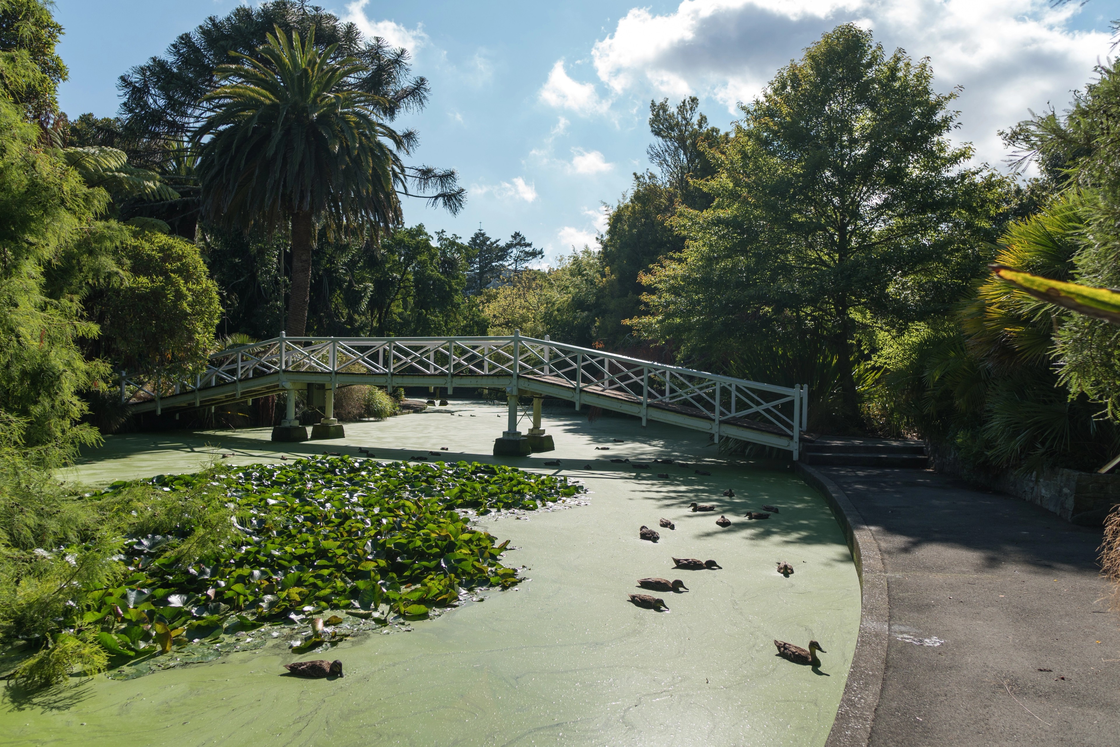 New Zealand's Nelson./Shutterstock