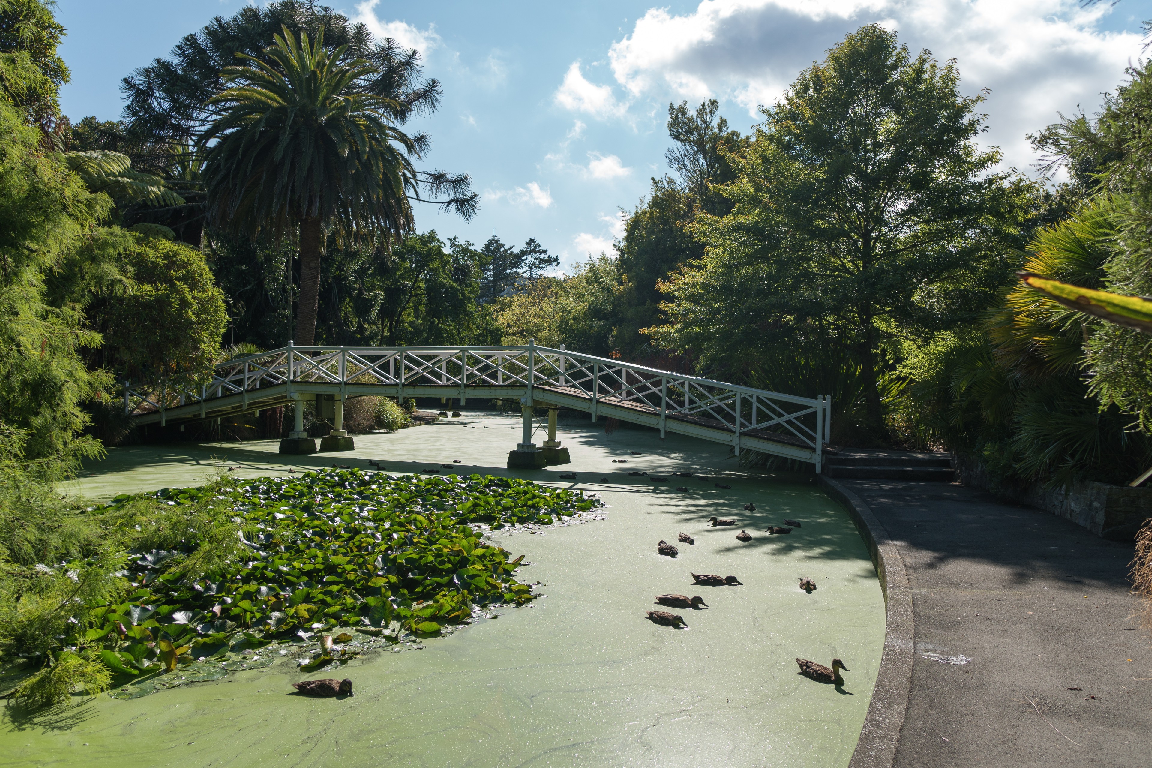 New Zealand's Nelson./Shutterstock