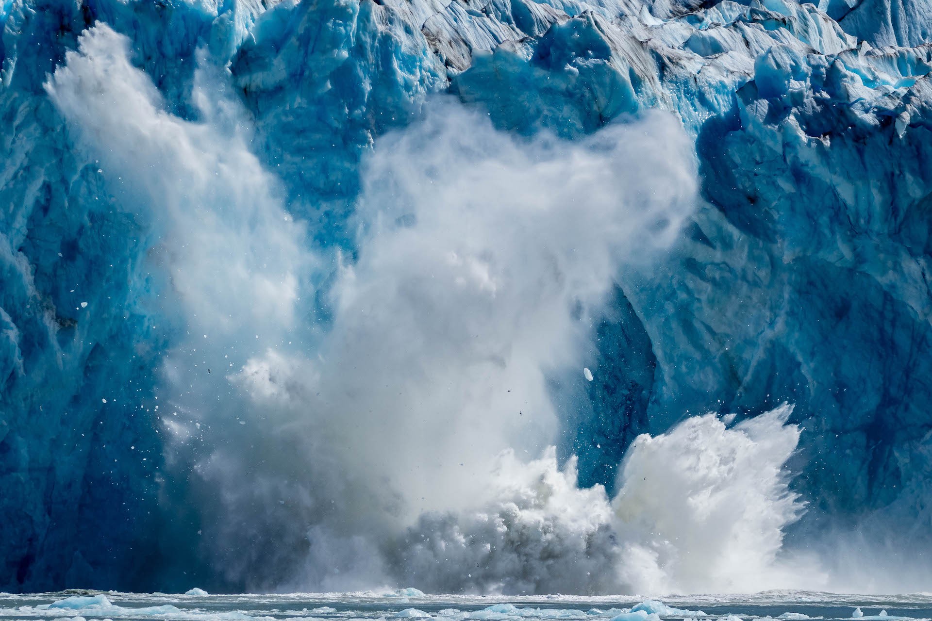 Dawes Glacier travels about 24 kms. from the Stikine Icefield to the head of Endicott Arm, a 55 km. fjord in Southeast Alaska./David Jaffe