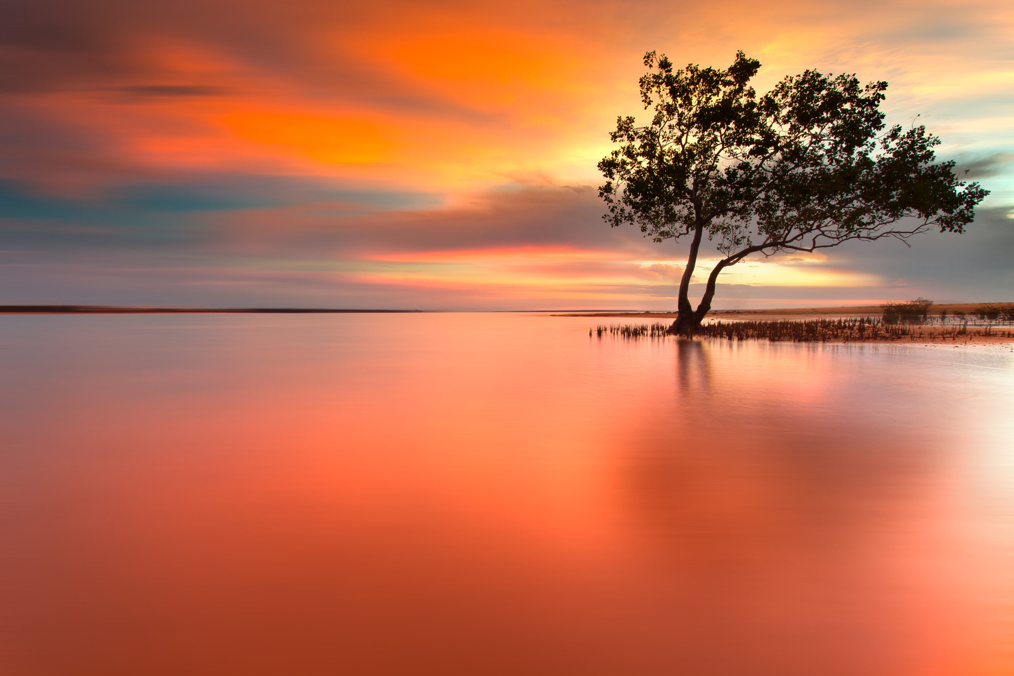 Mangroves at sunset, Darwin, Australia/Getty Images