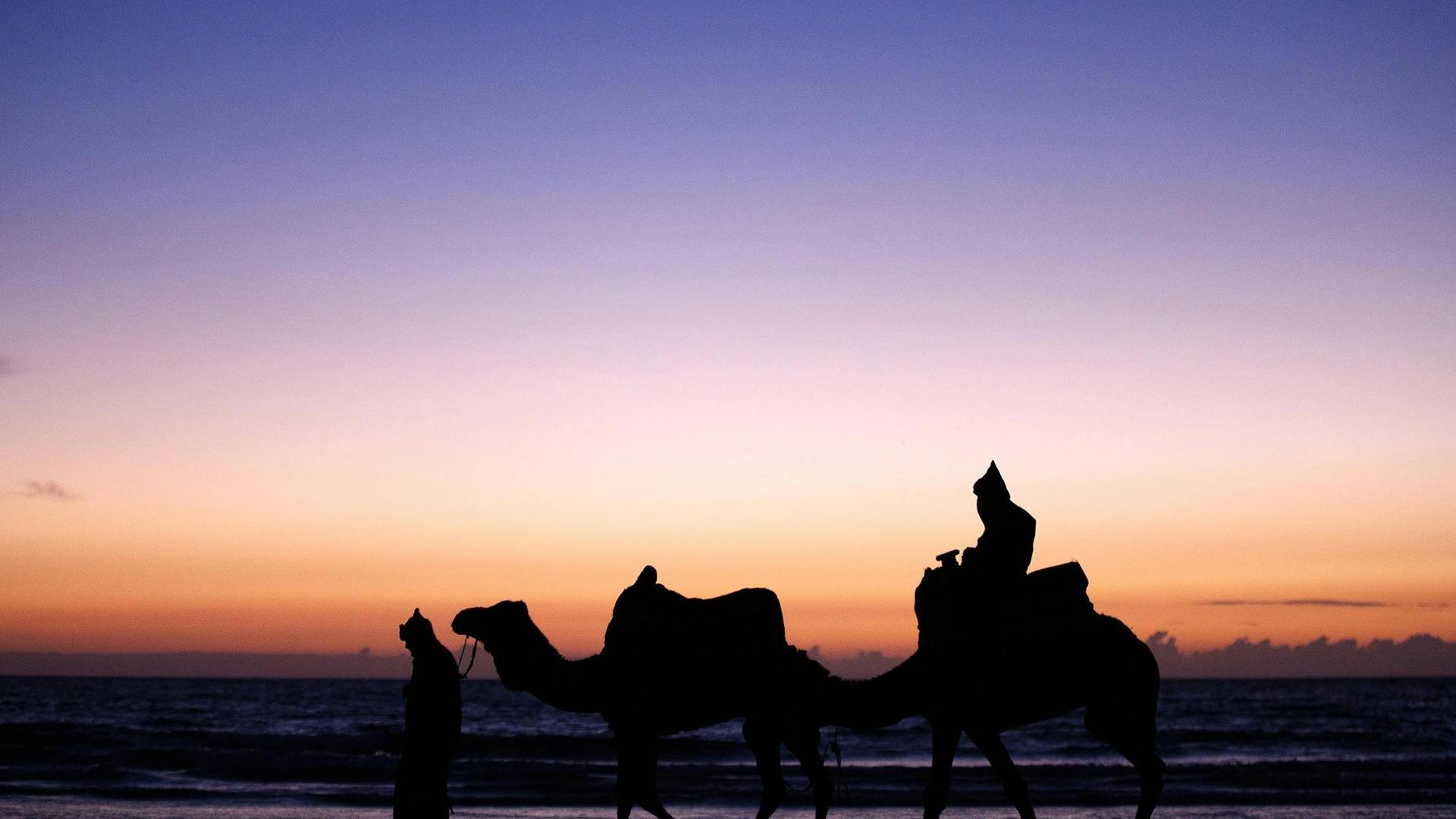 Need Travel Inspiration? Check Out our 12 Most Memorable Adventures Around the World