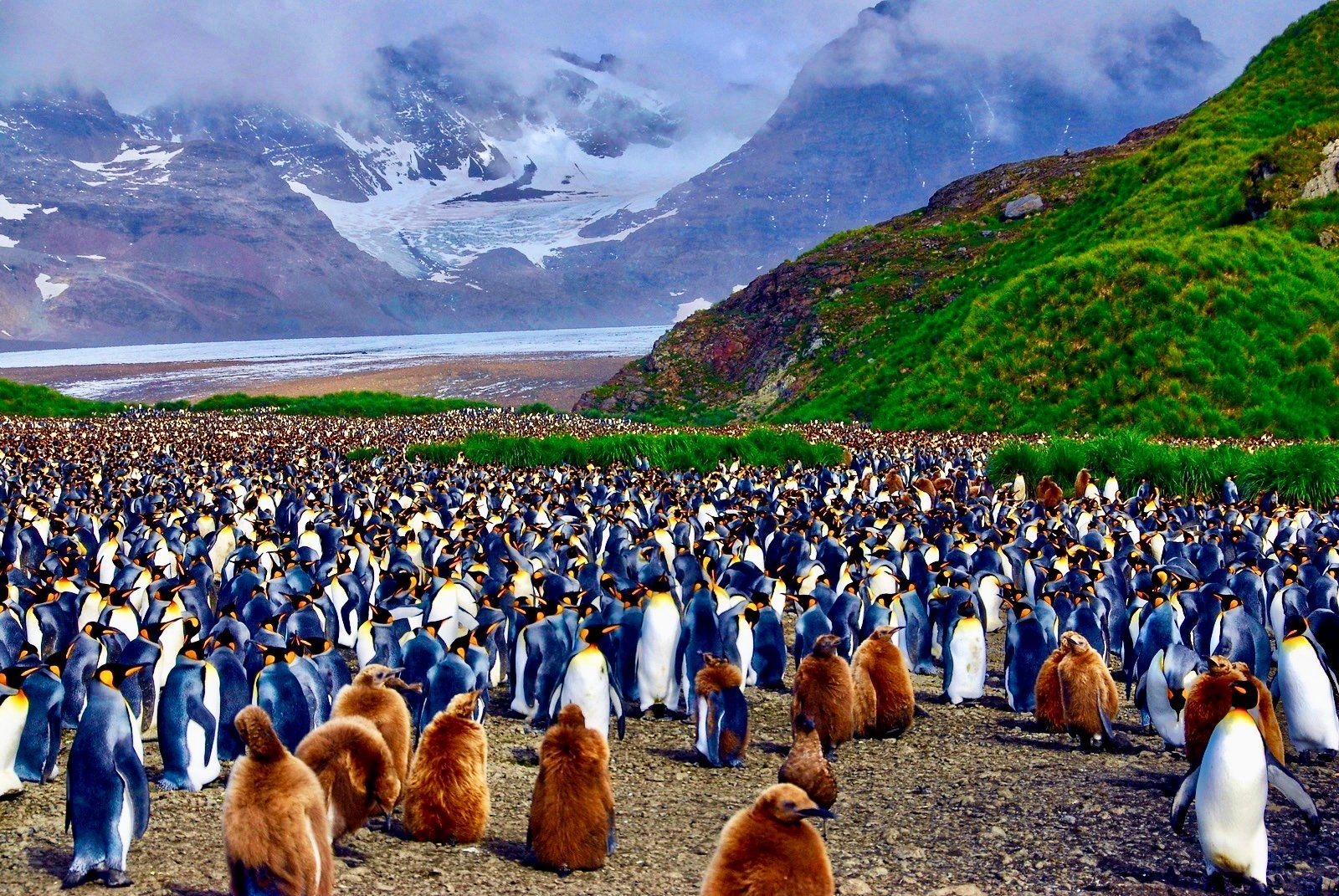 Silversea’s 30th Anniversary: Natural Beauty, Wildlife and Serenity