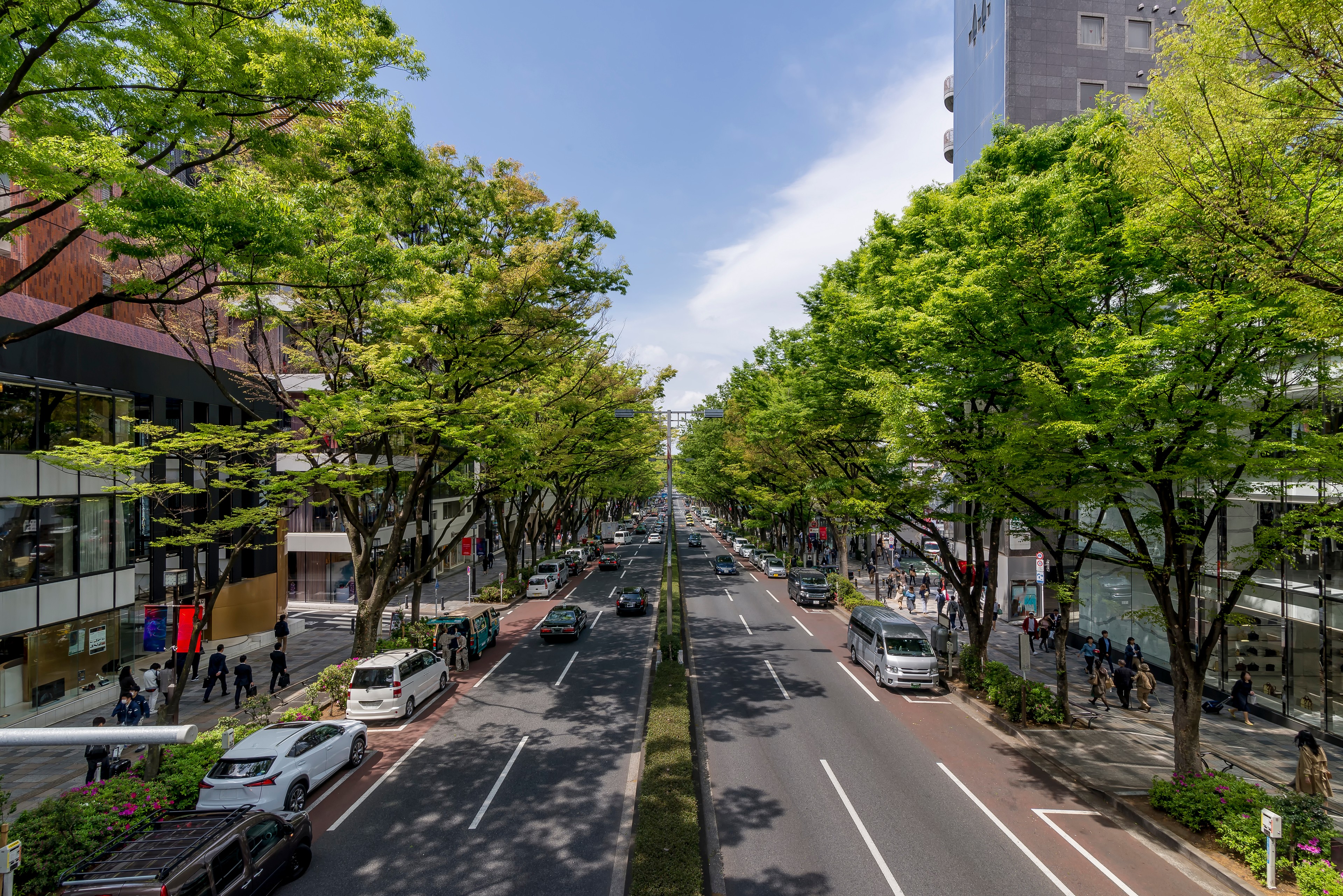 The Omotesando area of Tokyo is often referred to as the Champs Elysees of Tokyo. /Shutterstock