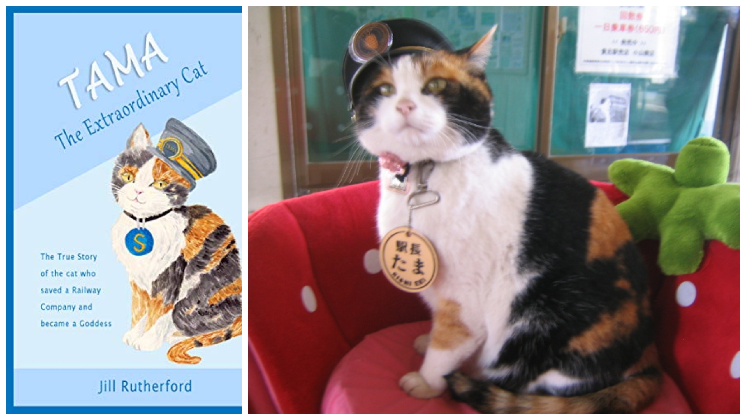 Tama, in stationmaster garb, is so popular that a book was written about her./Tama photo by Sanpei at Japanese Wikipedia