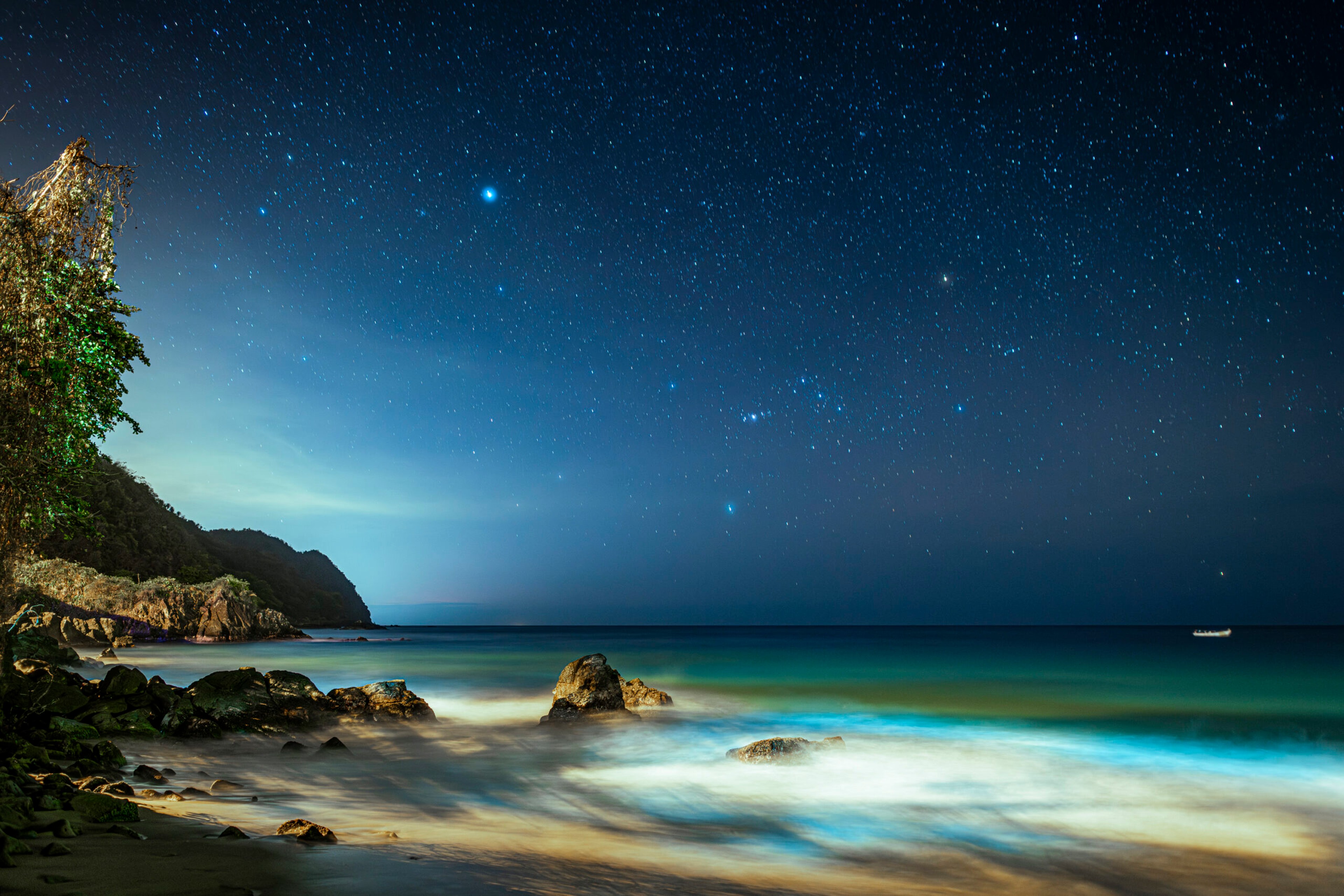 Waves, lit with bioluminescence, lap onto Castara beach at night under a sky full of stars on the Caribbean island of Tobago./Getty Images