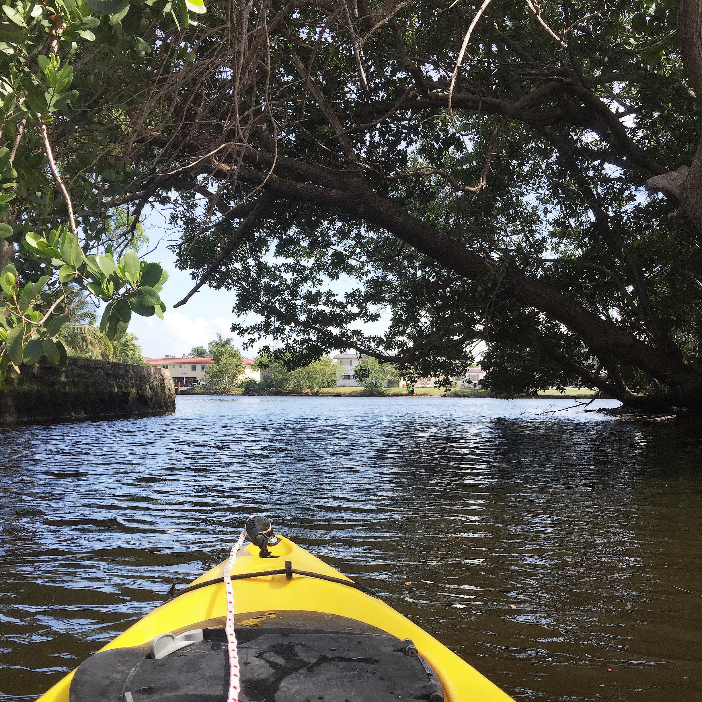 You can kayak around Wilton Manors, an LGBTQ+ friendly city, on the Middle River./Shutterstock