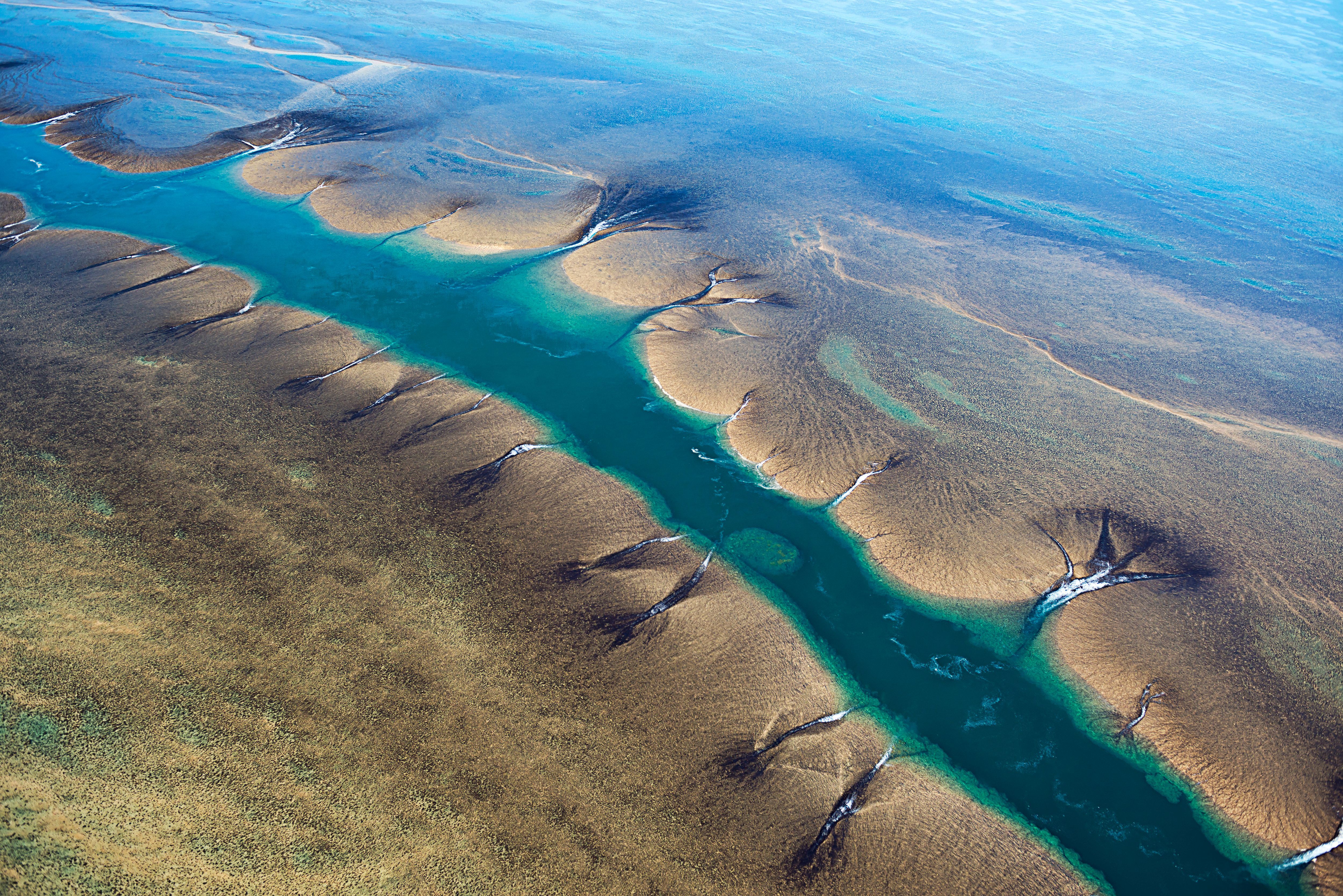 Fun Facts About Montgomery Reef: 7 Surprising Things About the Kimberley Reef That Rises From the Sea