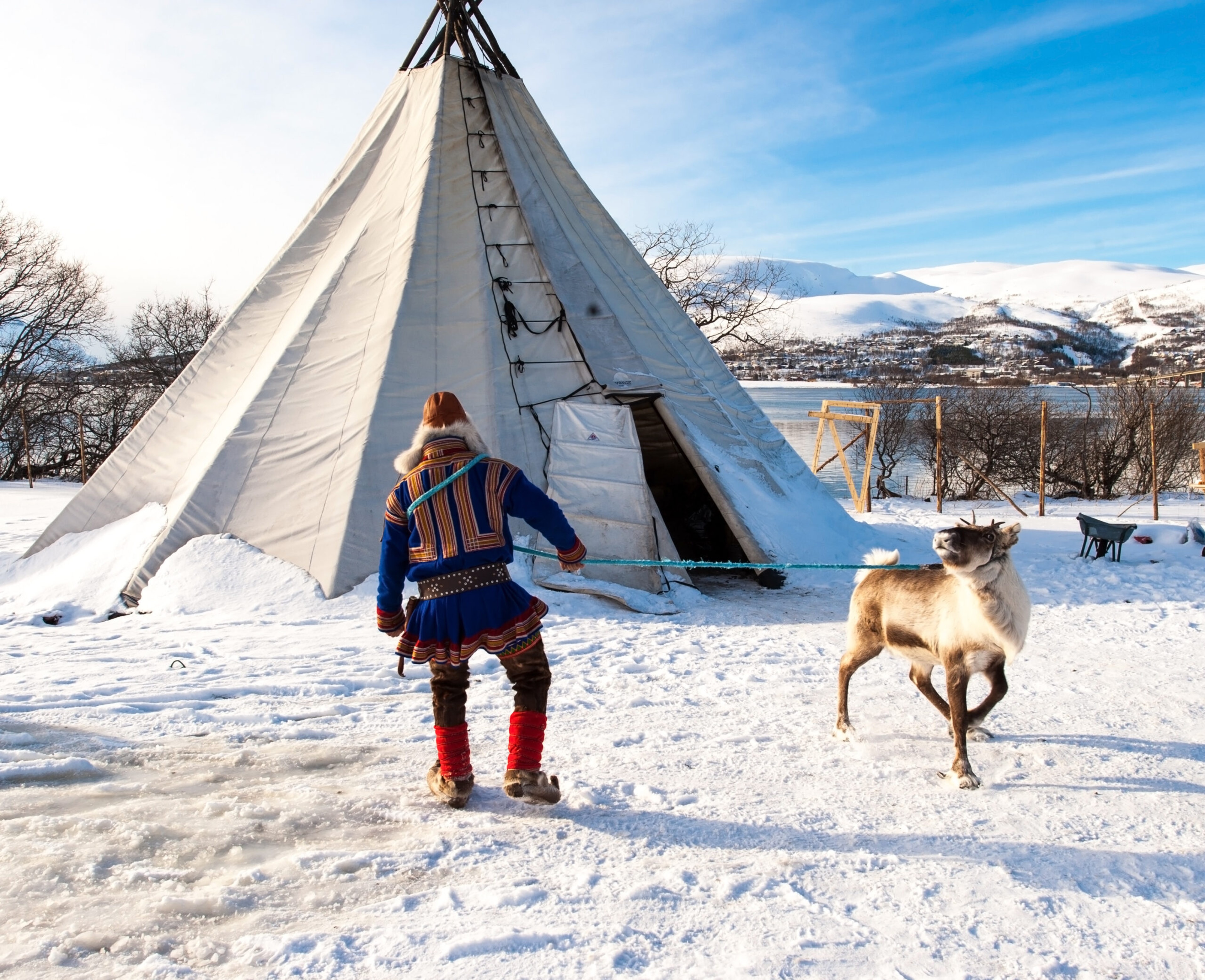 Sami reindeer breeder in Tromso, Norway./Shutterstock