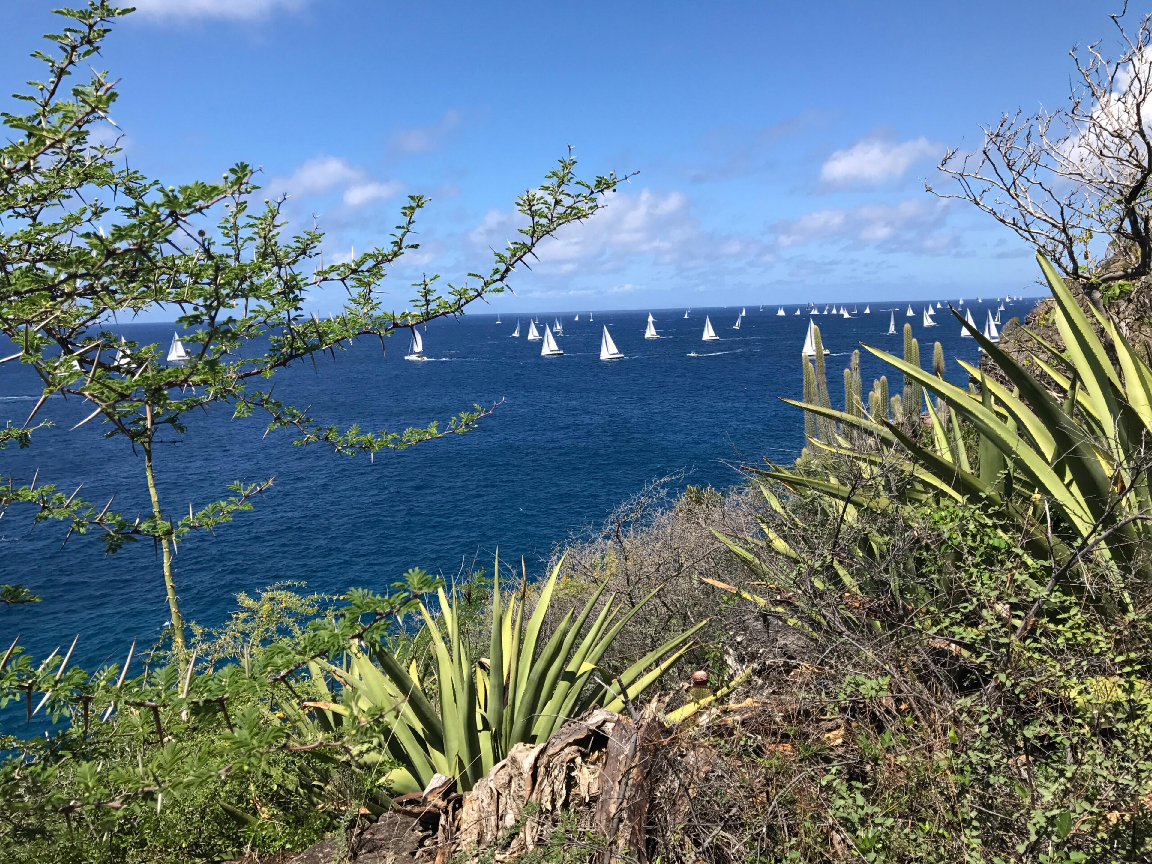 Sails dot the waters around Antigua, during Sailing Week, founded in 1968./Shutterstock