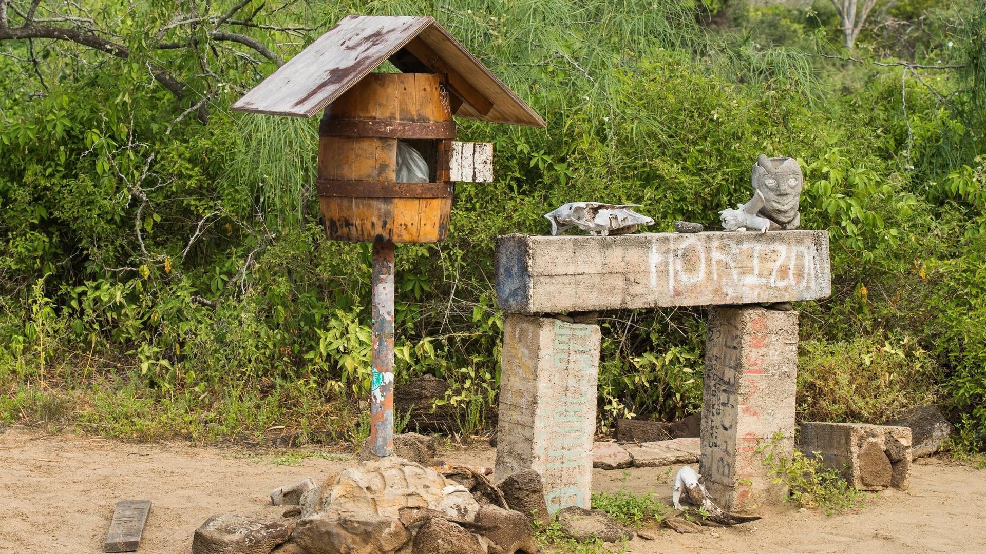 Just Back From…Galápagos, Part 2. A Postscript