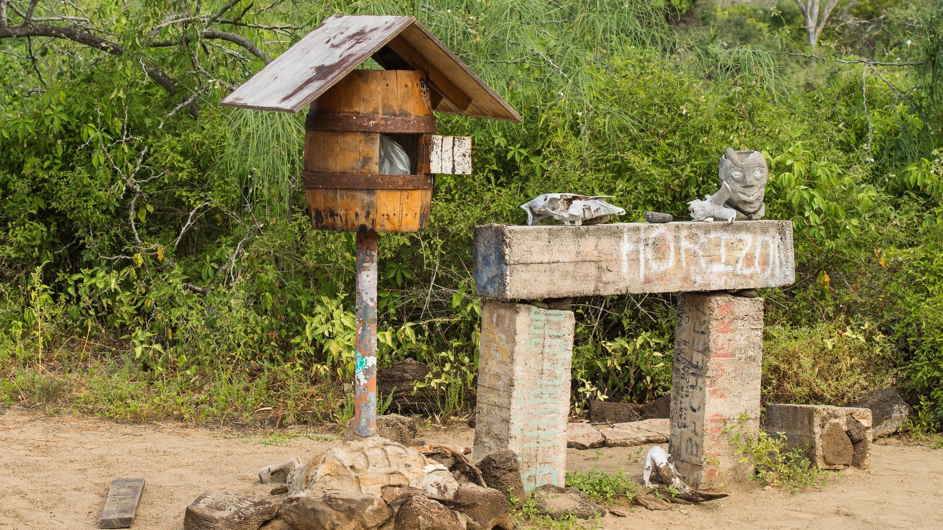 Just Back From…Galápagos, Part 2. A Postscript