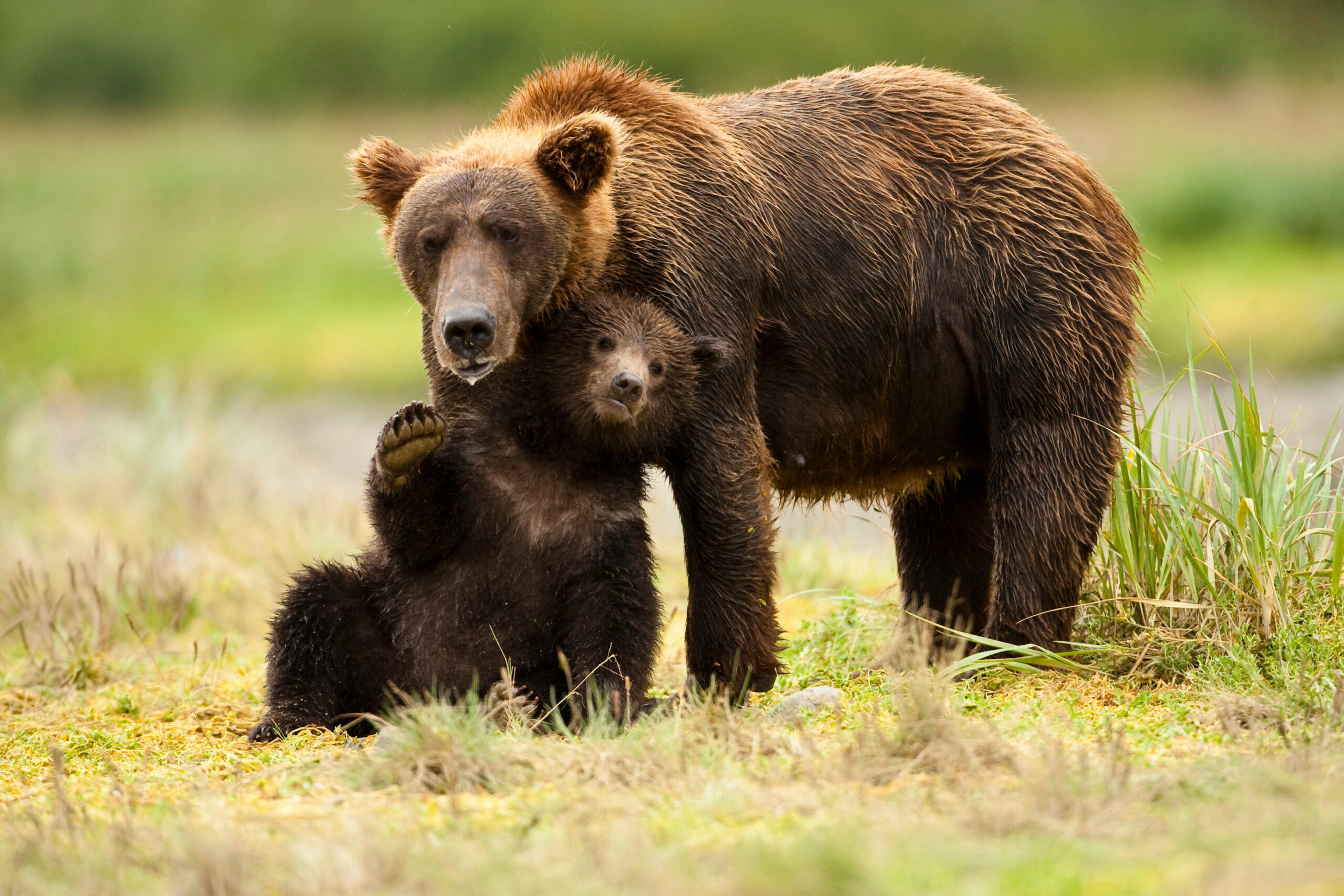 Focus on focusing when you're snapping photos. Manipulation to make a "soft" photo sharper can do only so much; nail the focus from the outset to avoid problems later./Getty Imaes
