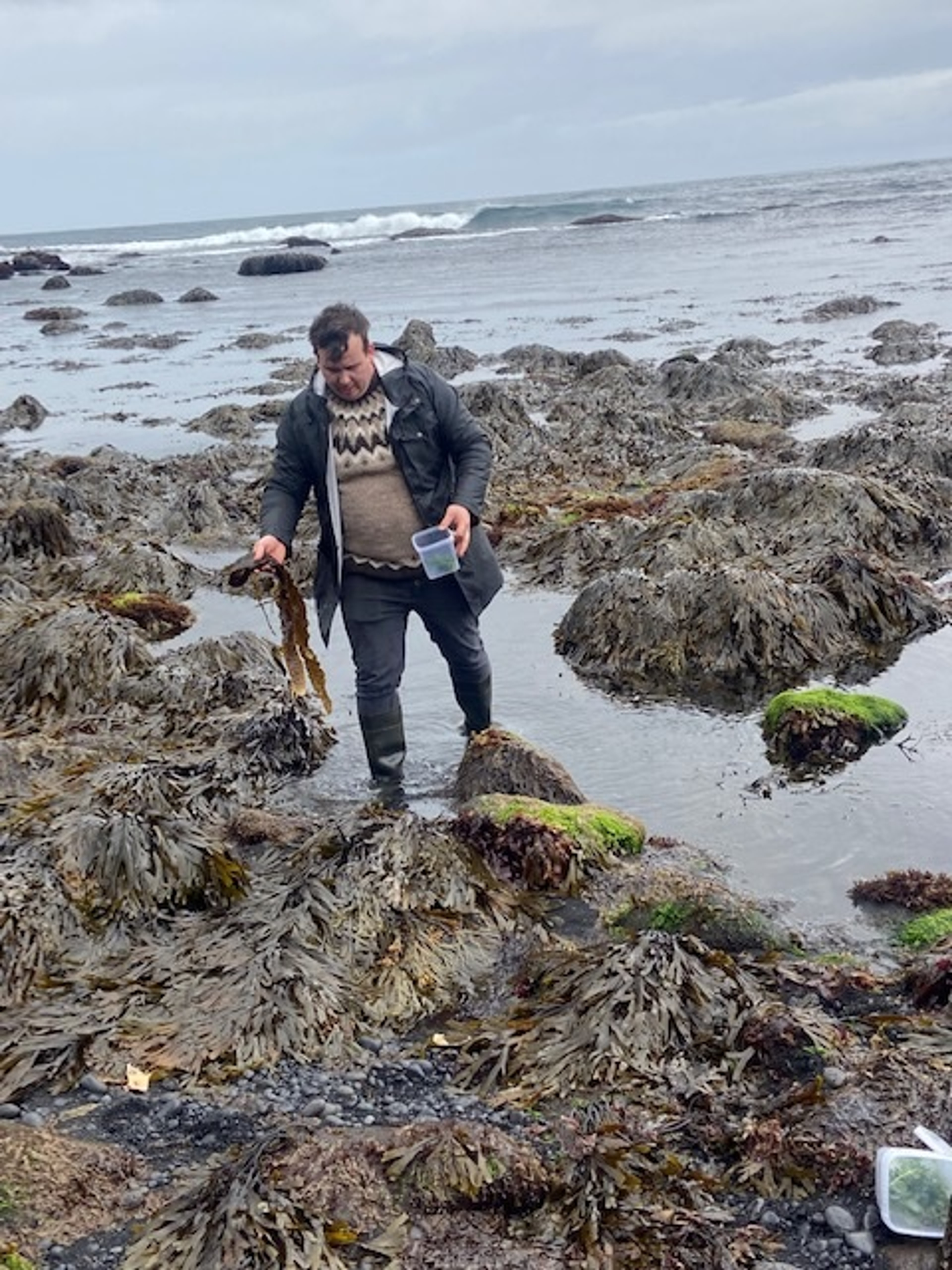 In the Westmann Islands, Heimaey is a great spot for a S.A.L.T. Experience. Photo by Marry Morris