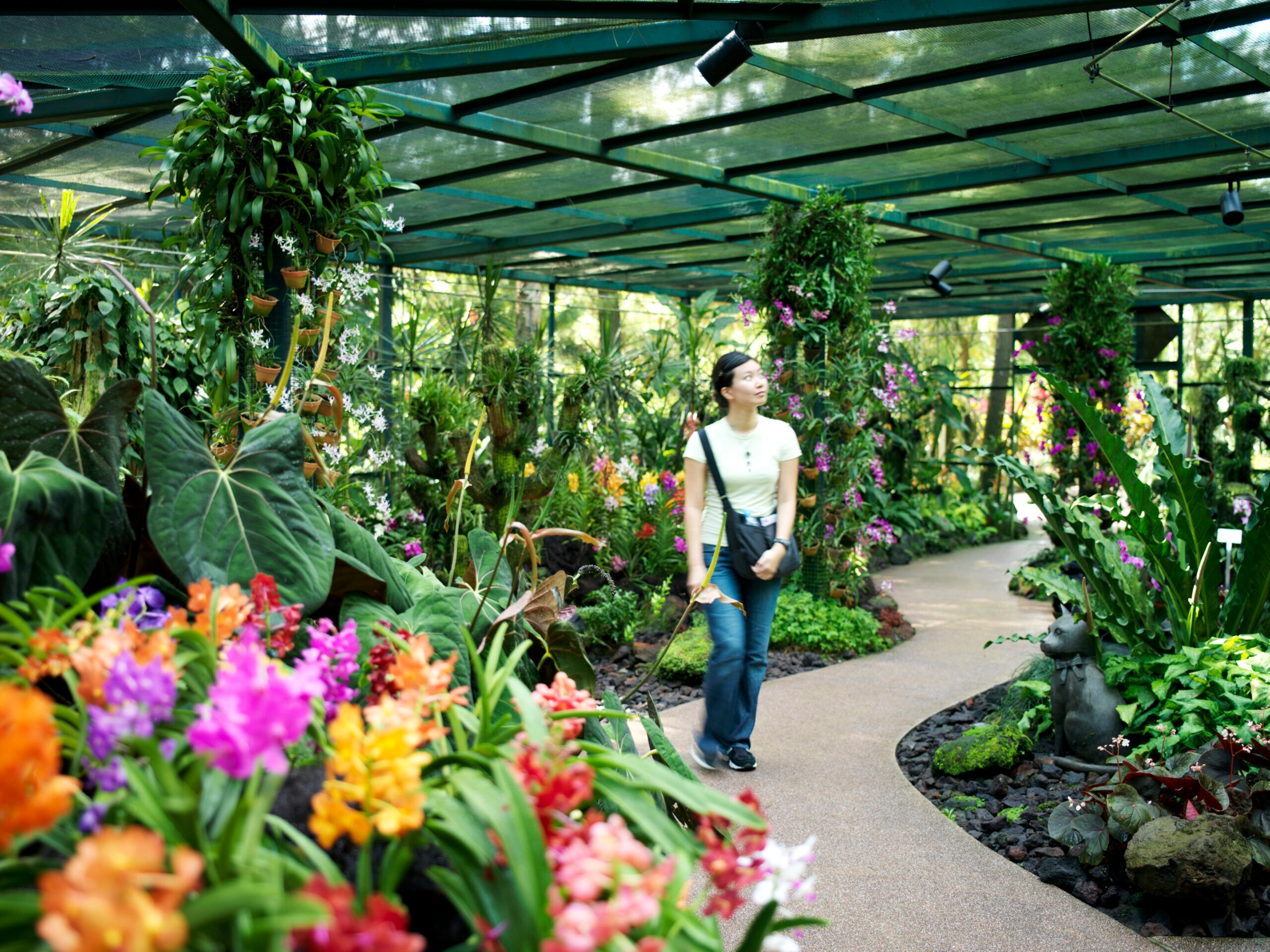 You'll find the world's largest collection or orchids at the Singapore Botanic Gardens./Getty Images