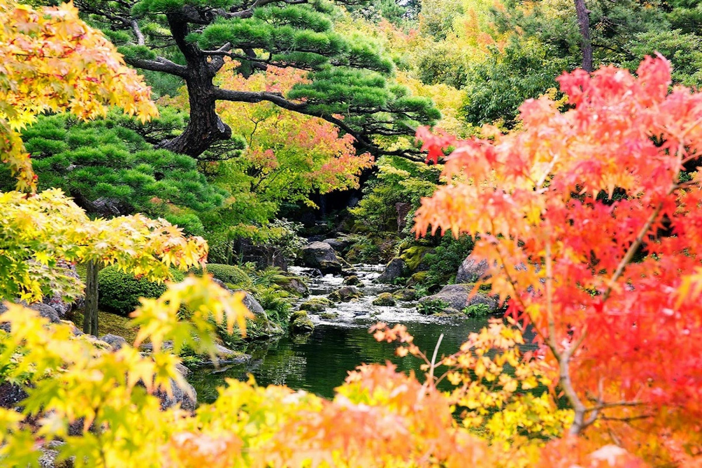 Philosophy And Design Of Japanese Gardens