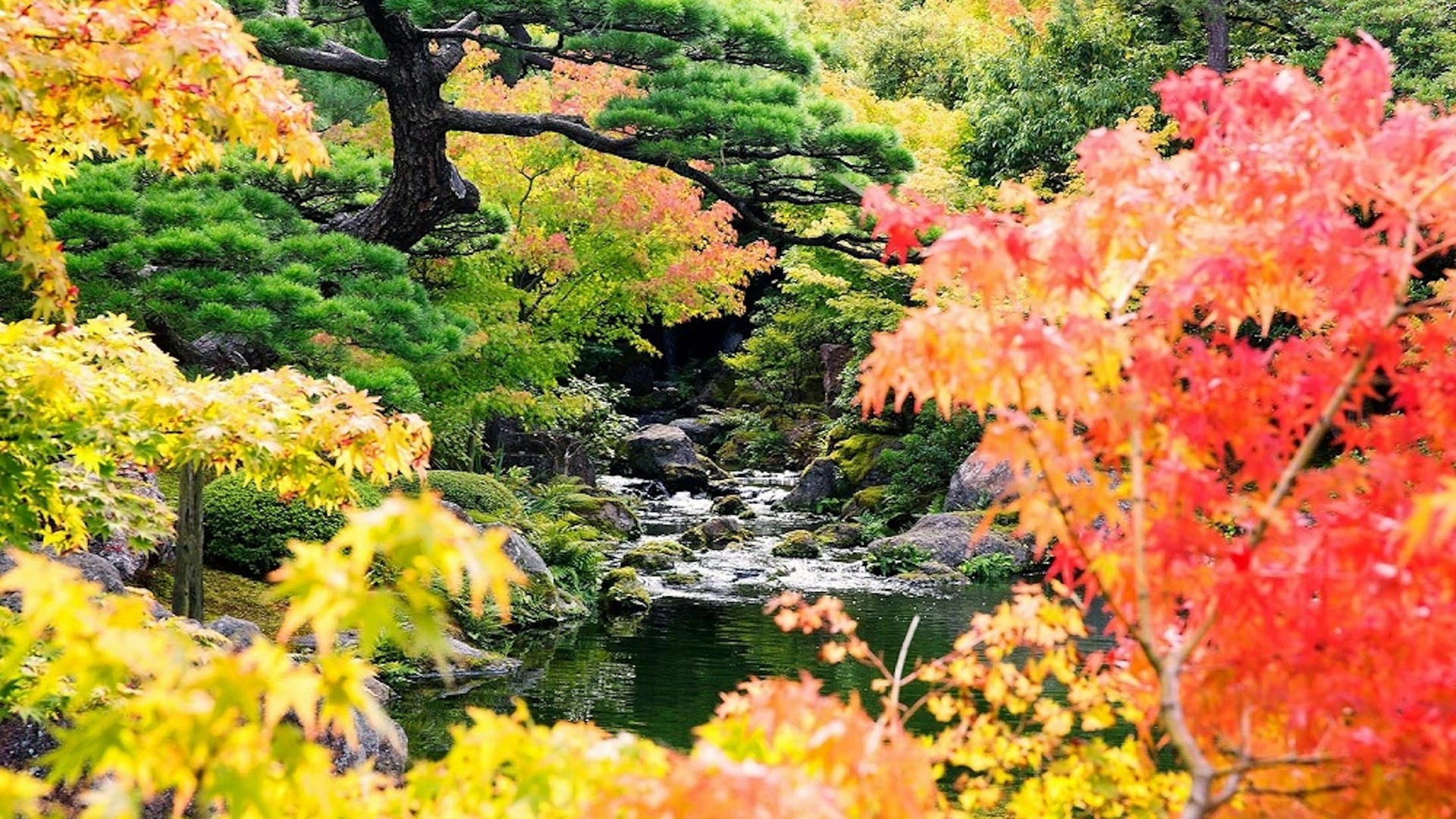 The Japanese Zen Garden: Explore Understated Beauty