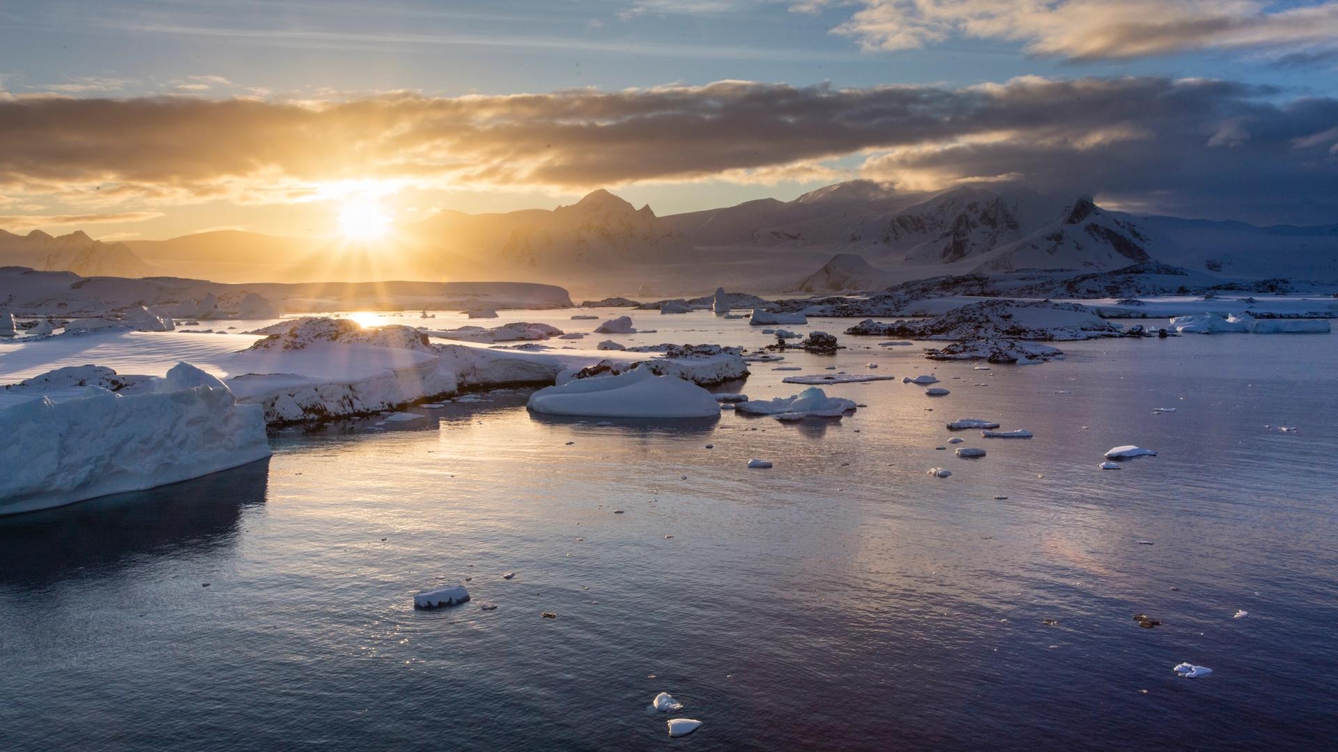 A New Day Dawns: Silversea Crafts a Seamless Antarctica Fly Cruise with New Enhancements