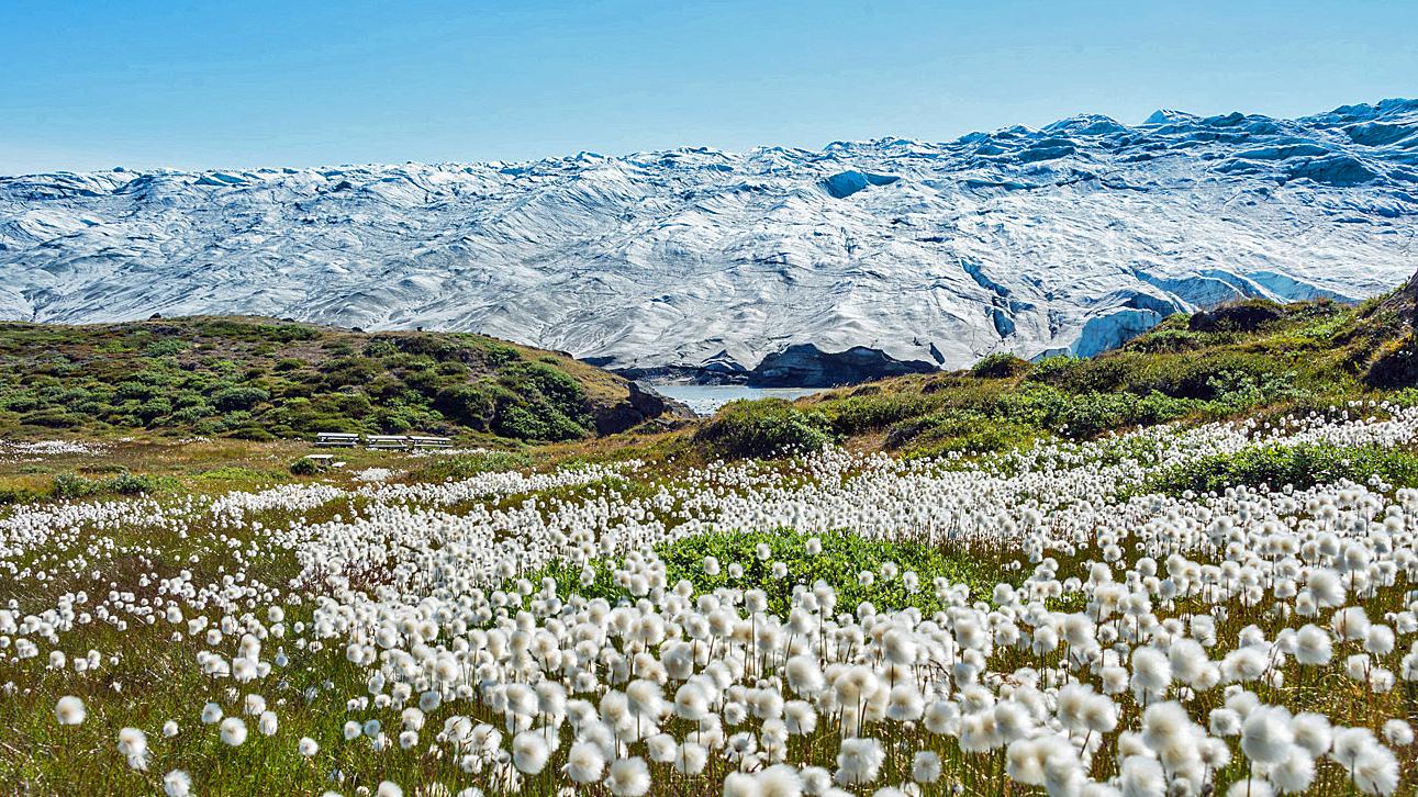 Just Back from: Arctic Greenland