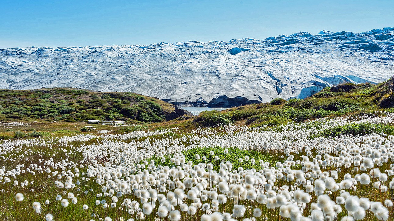 Just Back from: Arctic Greenland