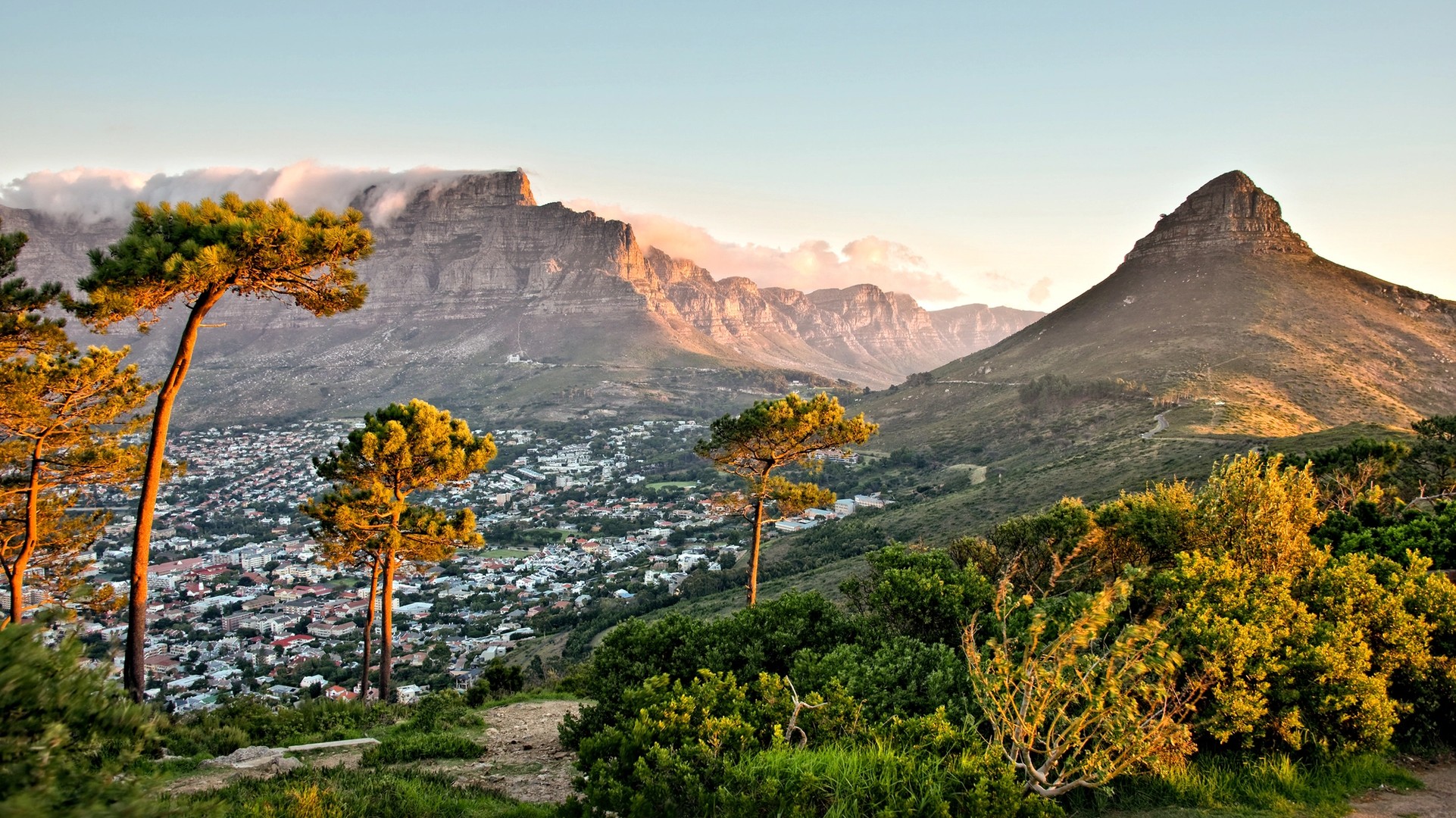 Things to Do in Cape Town