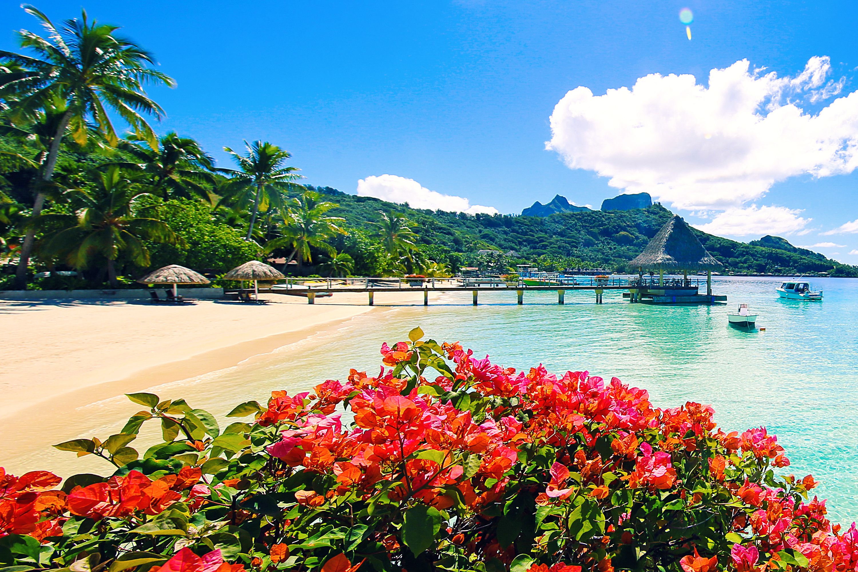 The Best Time to Visit Bora Bora: Cruises, Weather and Snorkeling