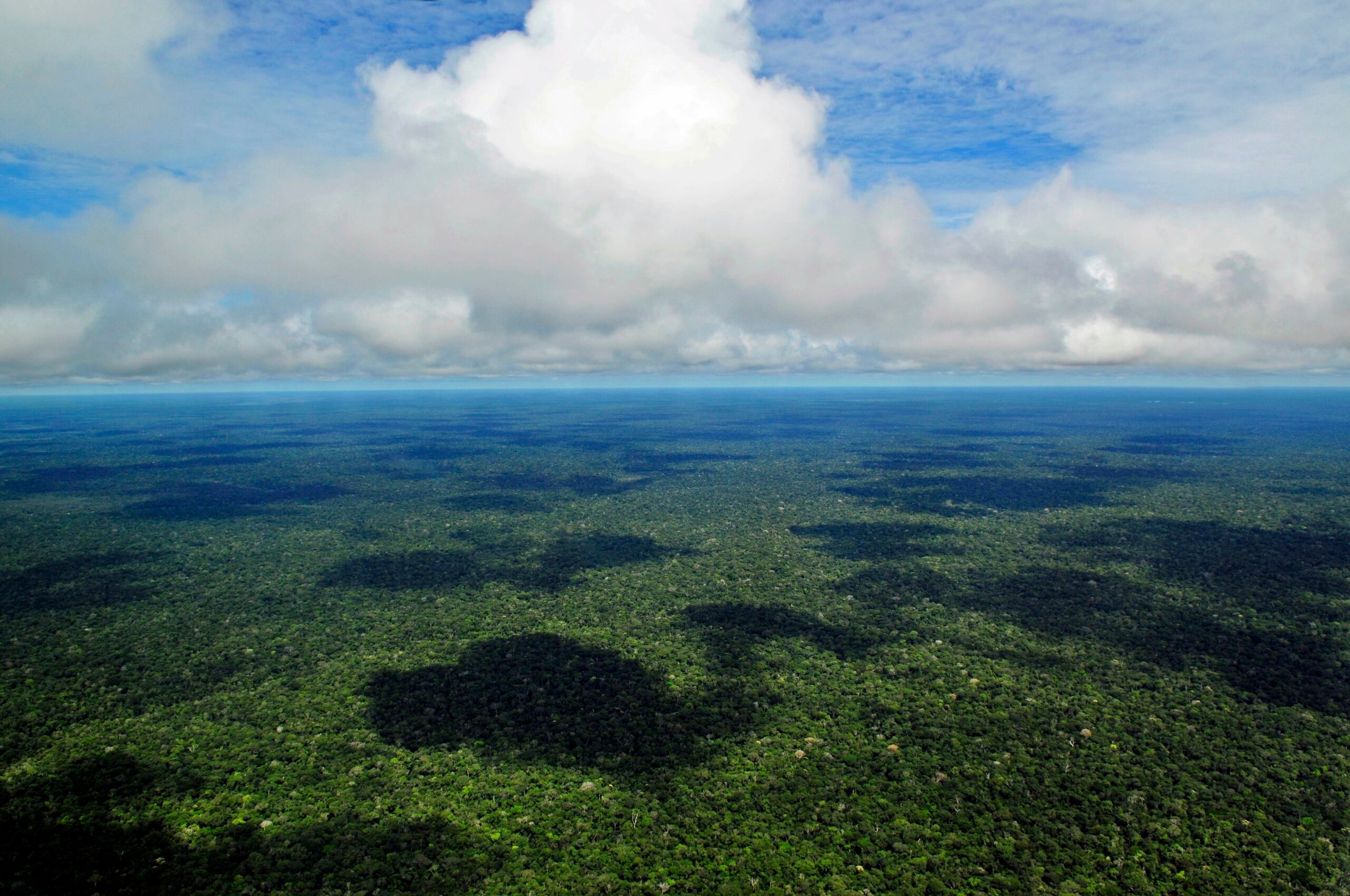 Aerial view of the Amazon Rainforest, near Manaus, the capital of the Brazilian state of Amazonas/Wikimedia Commons photo by Neil Palmer/CIAT
