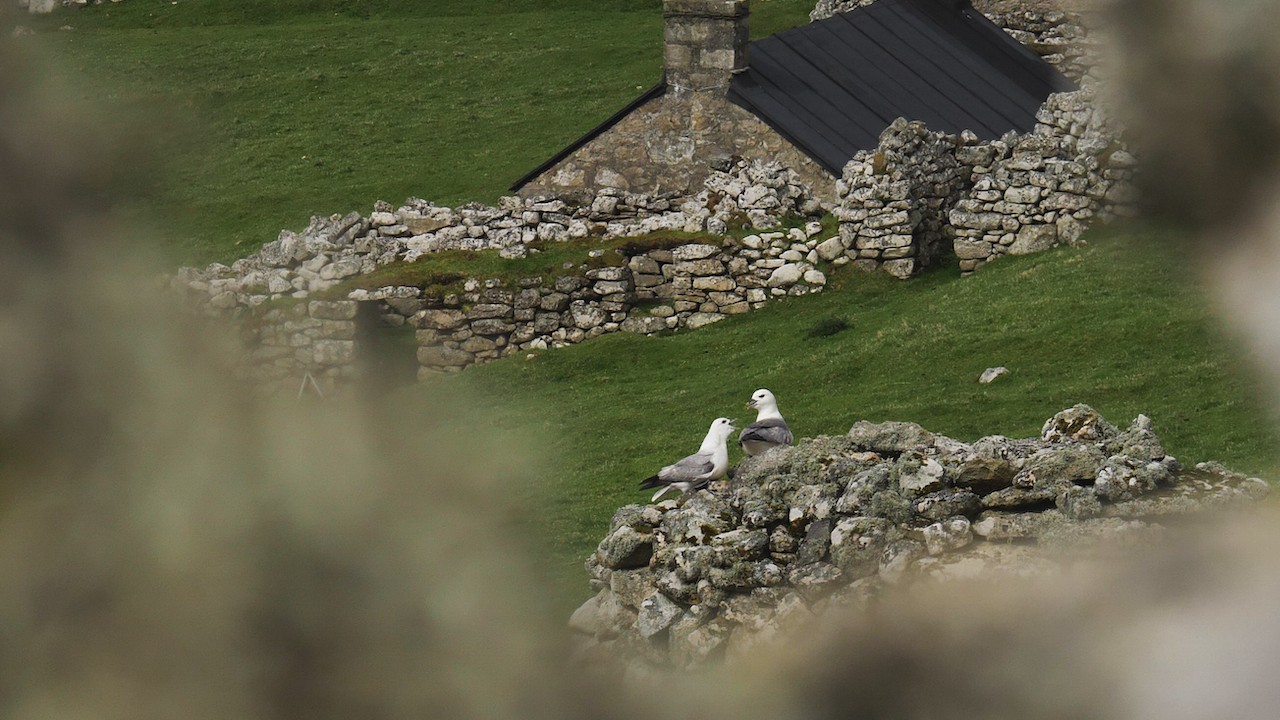 What to Do in the Outer Hebrides: A Behind-the-Scenes Look at St Kilda