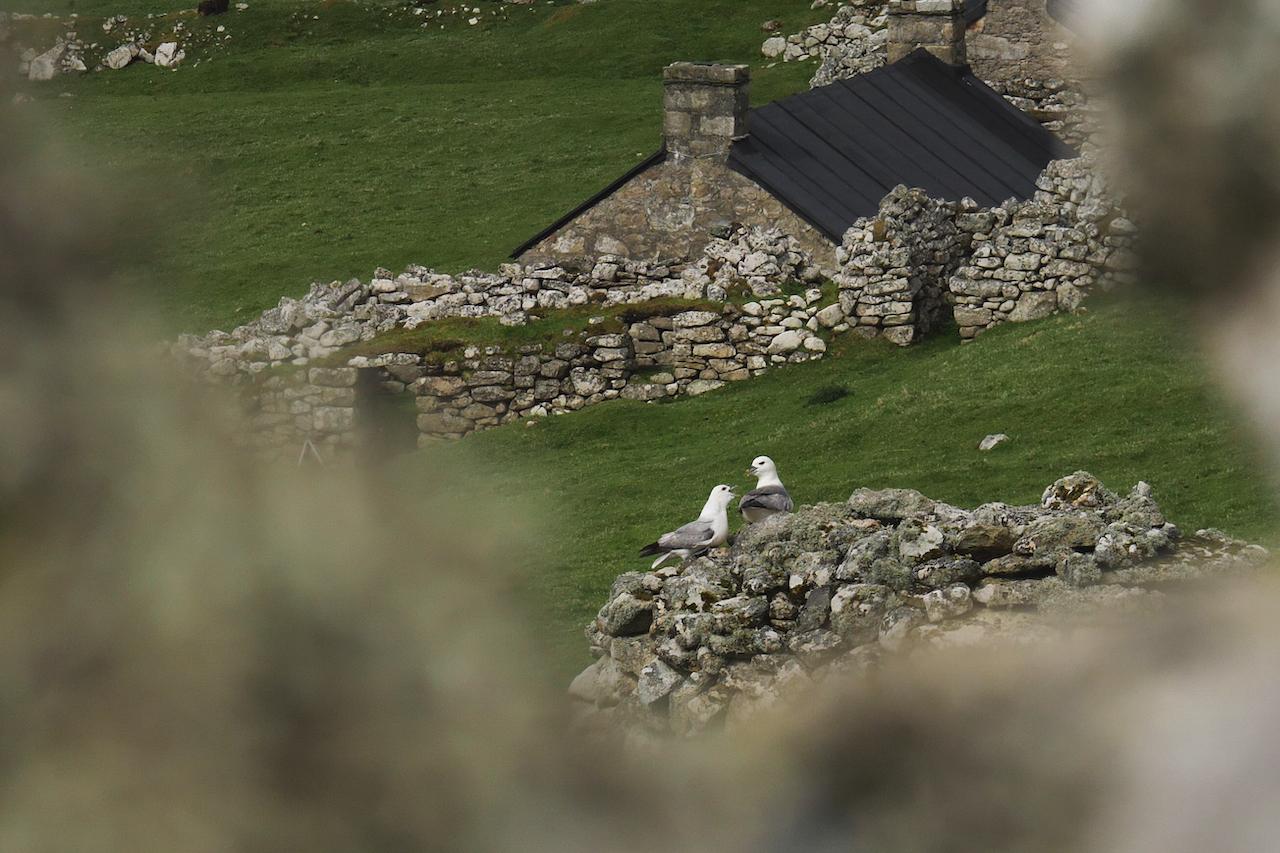 What to Do in the Outer Hebrides: A Behind-the-Scenes Look at St Kilda