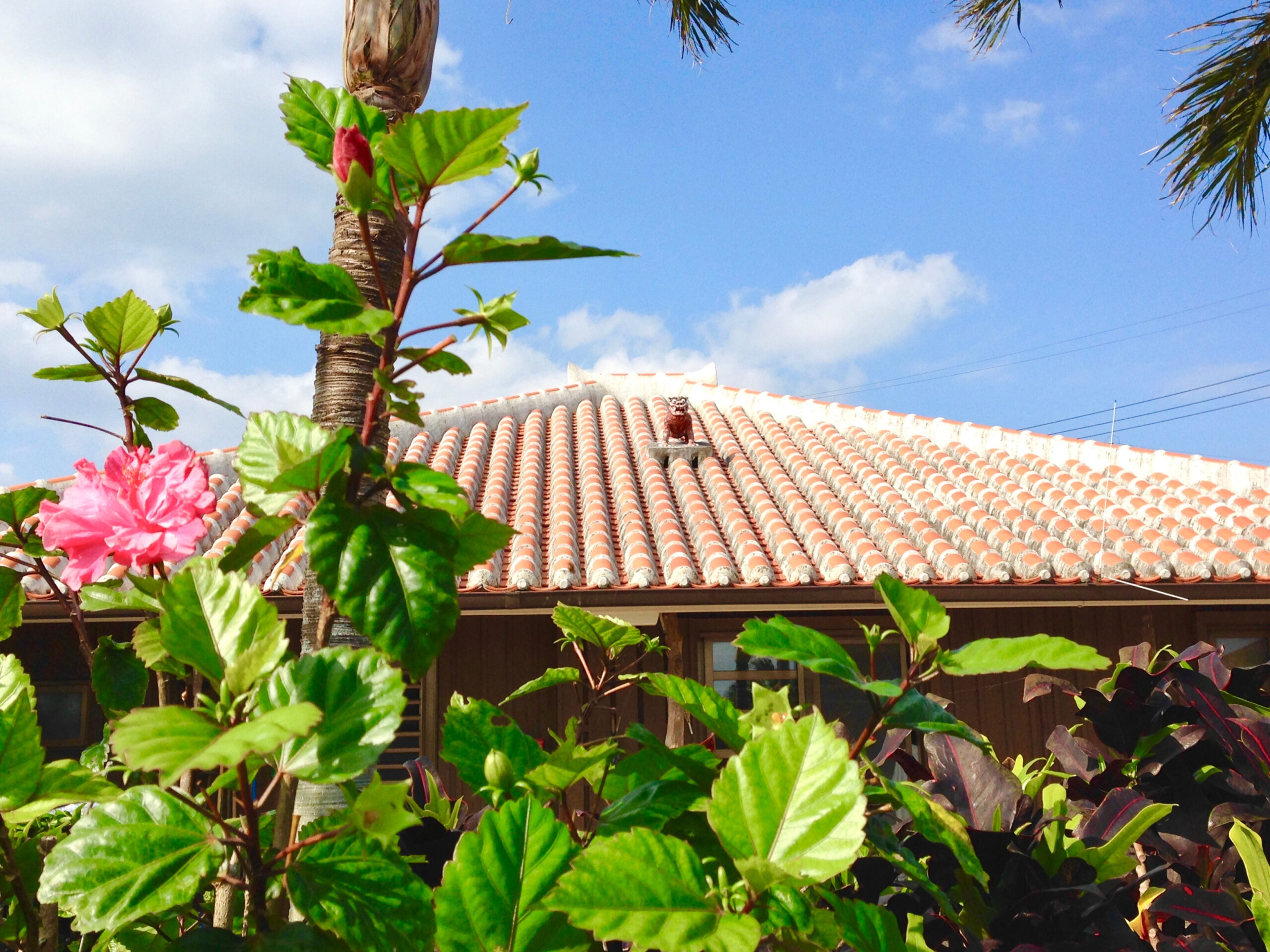 Shisa, or lion statues, on the roof are said to protect inhabitants from evil spirits./Shutterstock