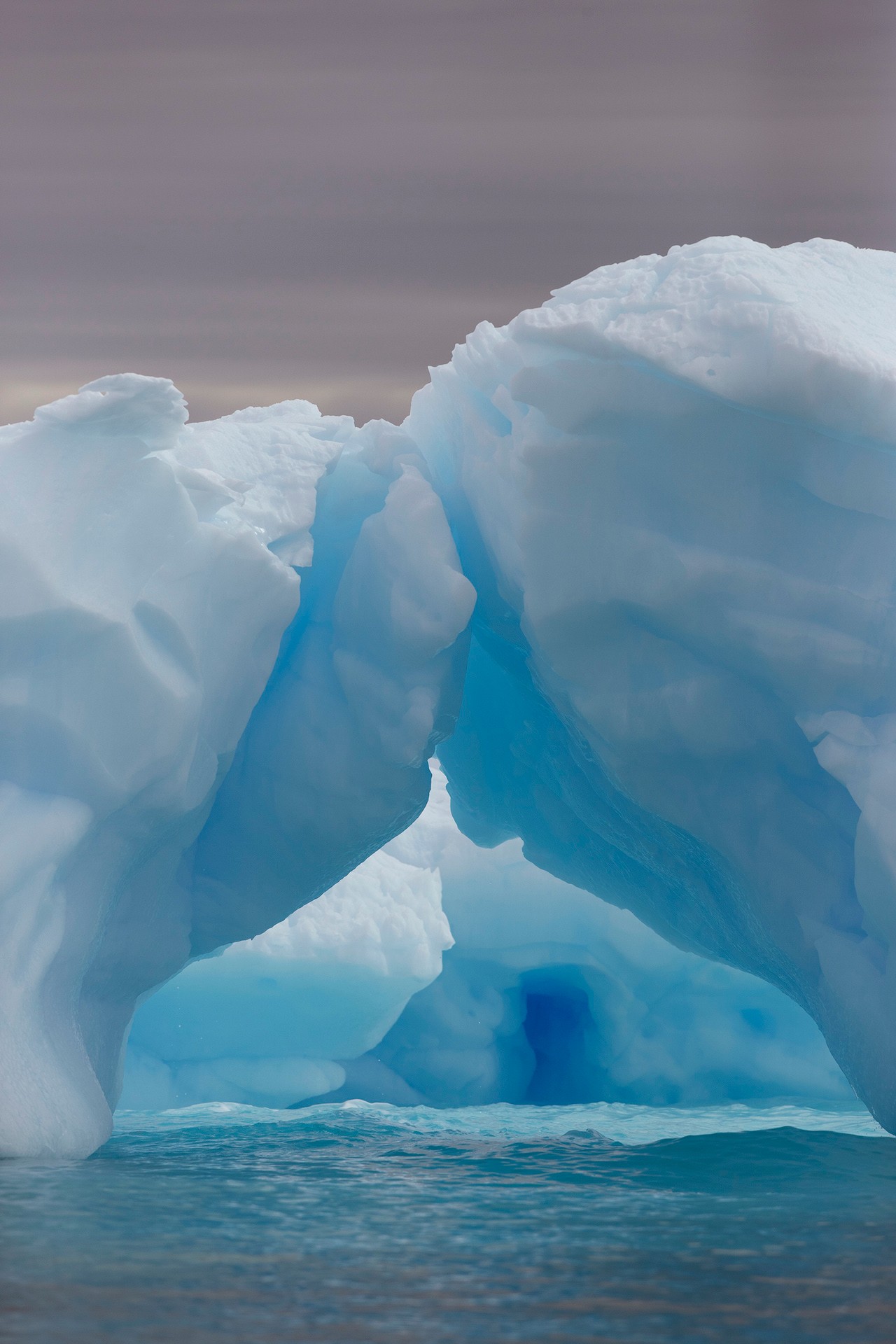Marvelous sculpture gardens, their icy whites and translucent blues luminous in the inky sea./Lucia Griggi