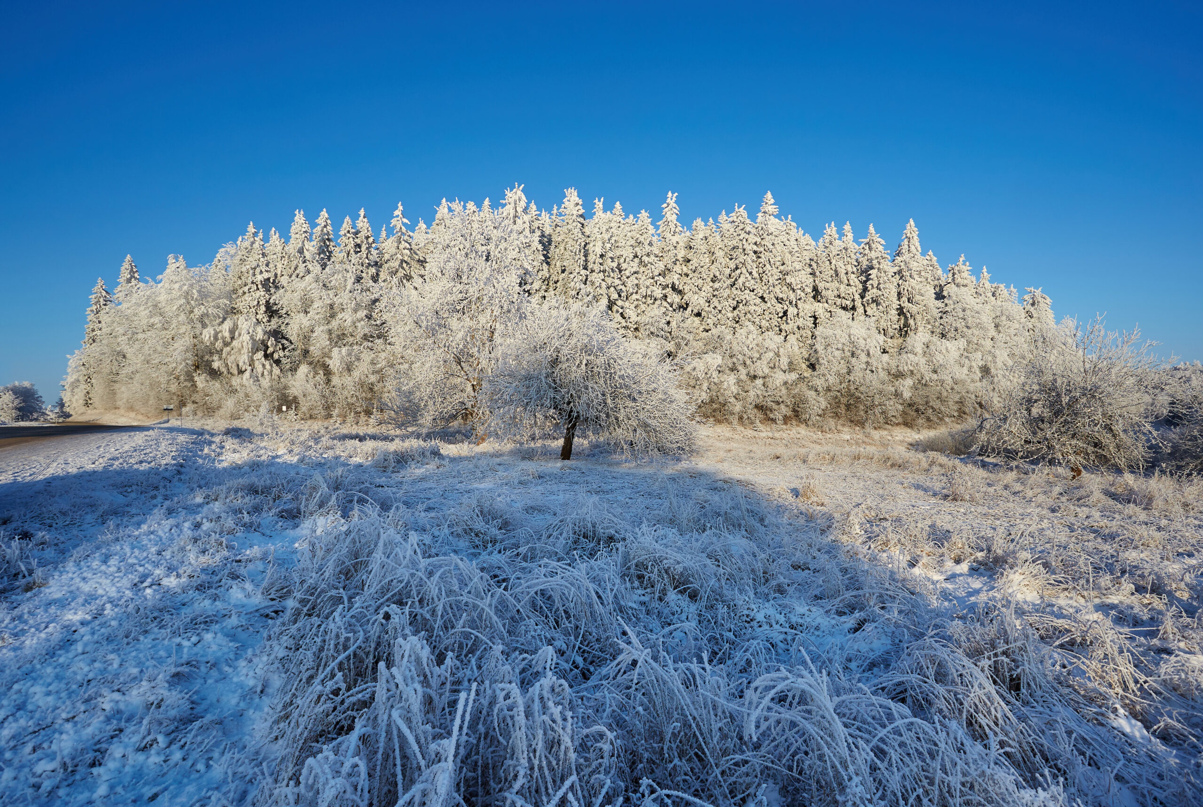 Great Egg Hill, or Suur Munamägi, is only slightly taller than London's Shard./Wikimedia Commons by Vaido Otsar
