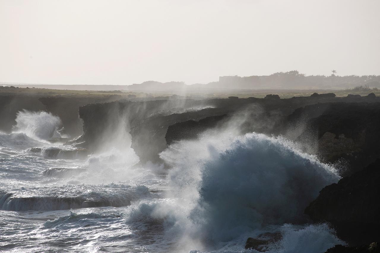 The rugged coast of Bathsheba offers a different side of Barbados./Lucia Griggi