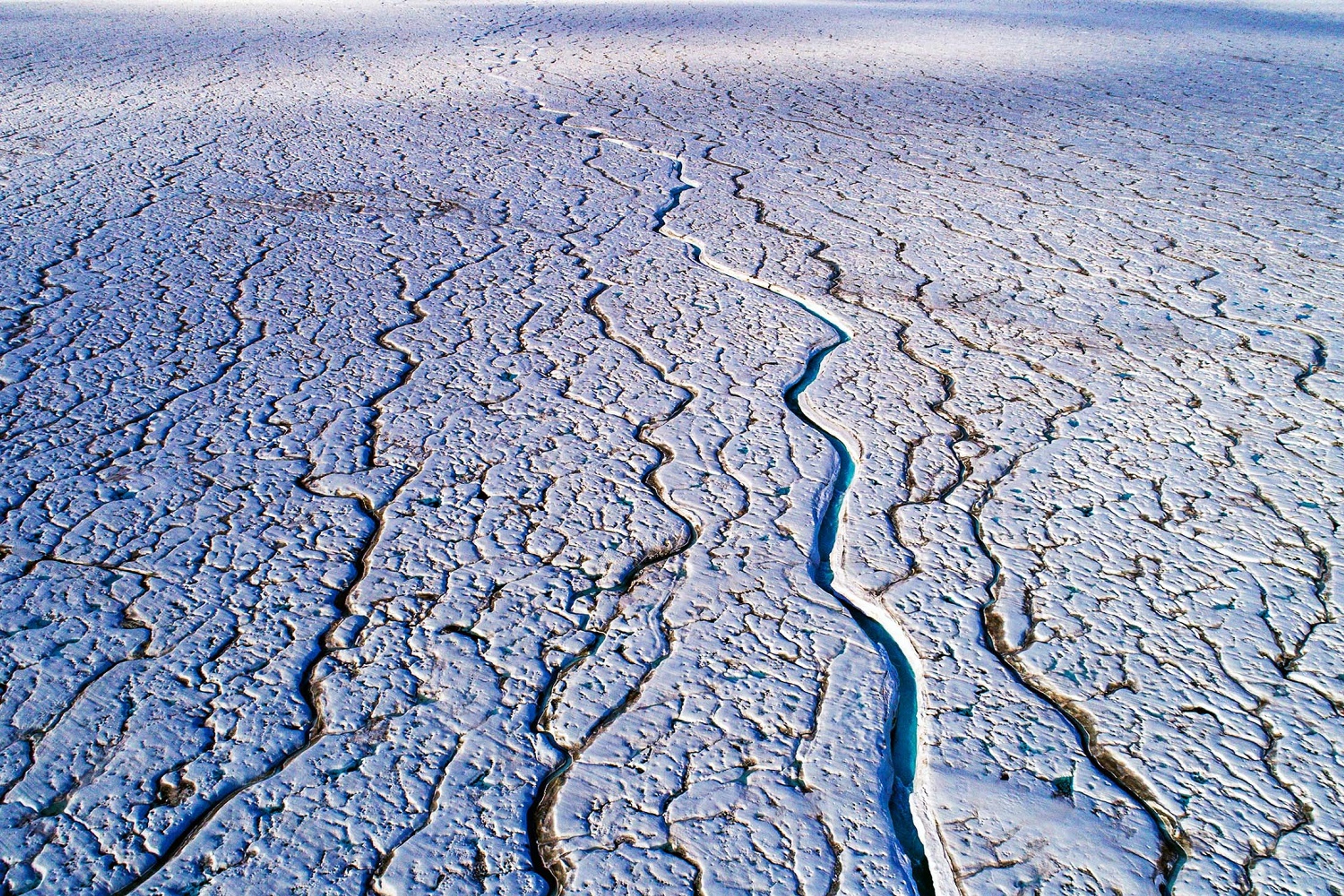 Vein-like meltwater channels decorate the top of the Brasvellbreen Glacier/Denis Elterman