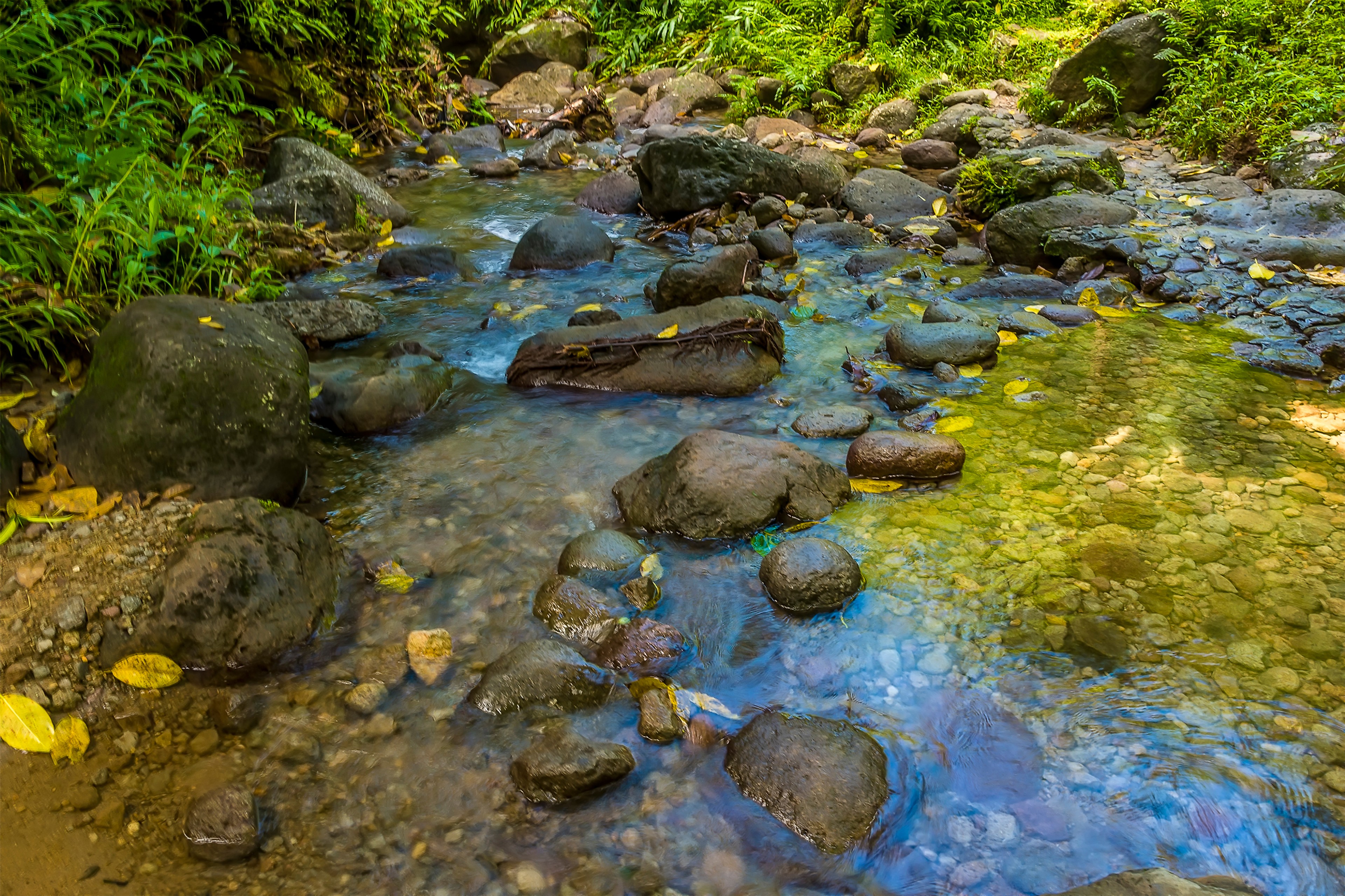 Downriver from the Gendarme in the rain forest of Martinique/Shutterstock