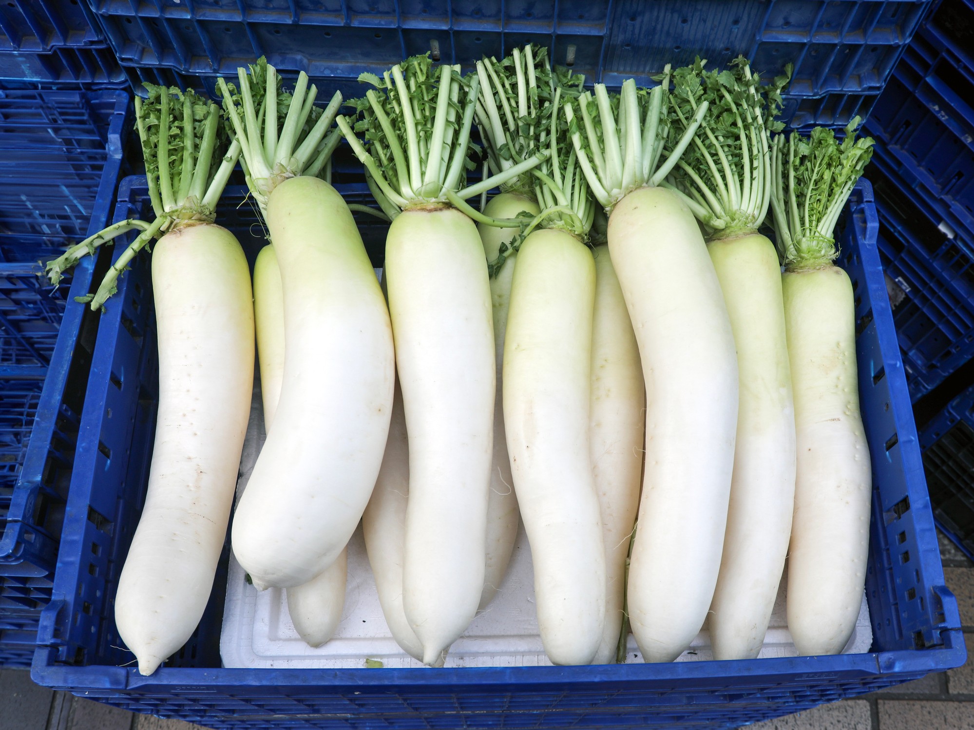 Daikon radishes/Getty Images