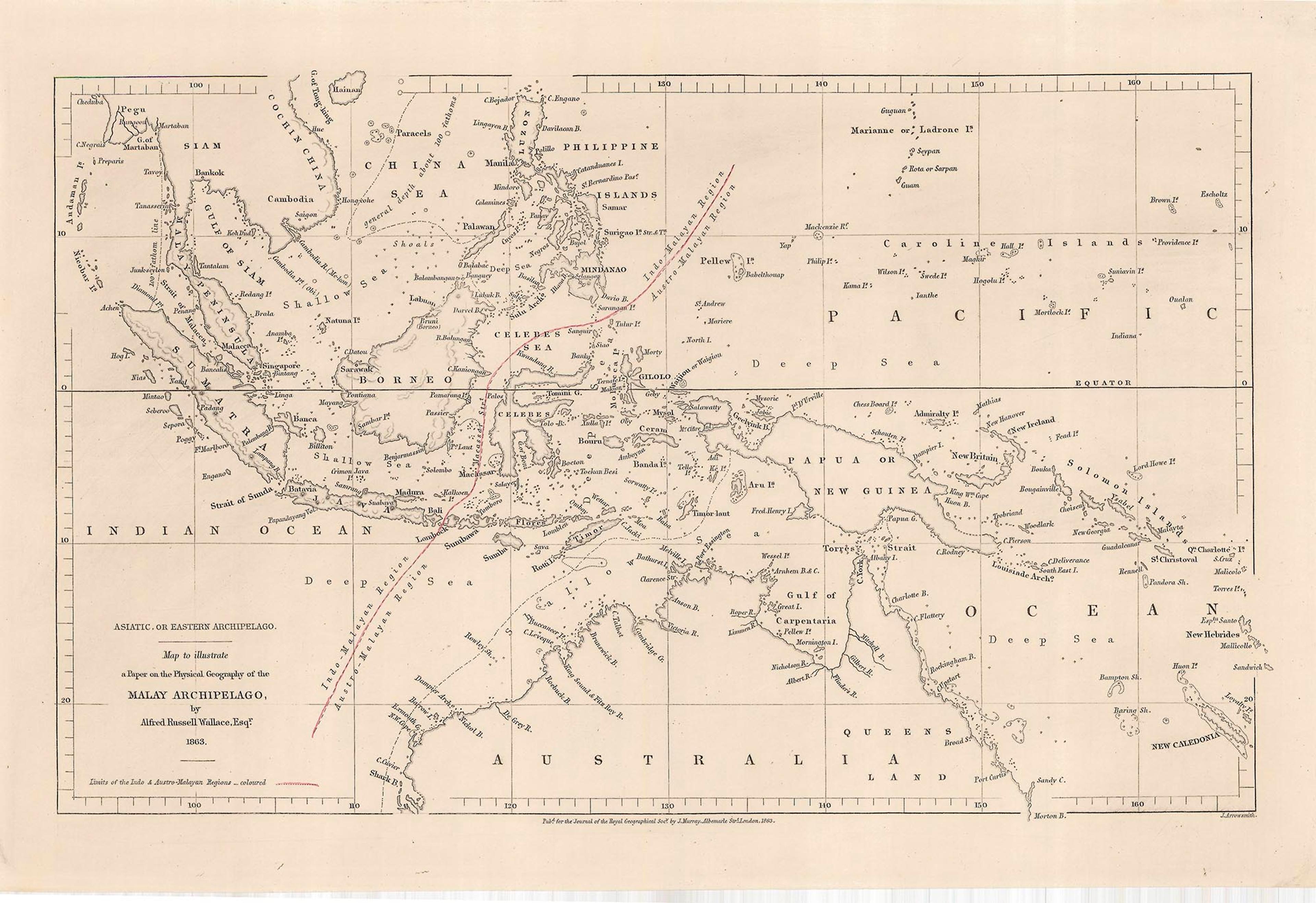 The Wallace Line divides the Indonesian islands of Bali and Lombok/© Royal Geographical Society (with IBG)