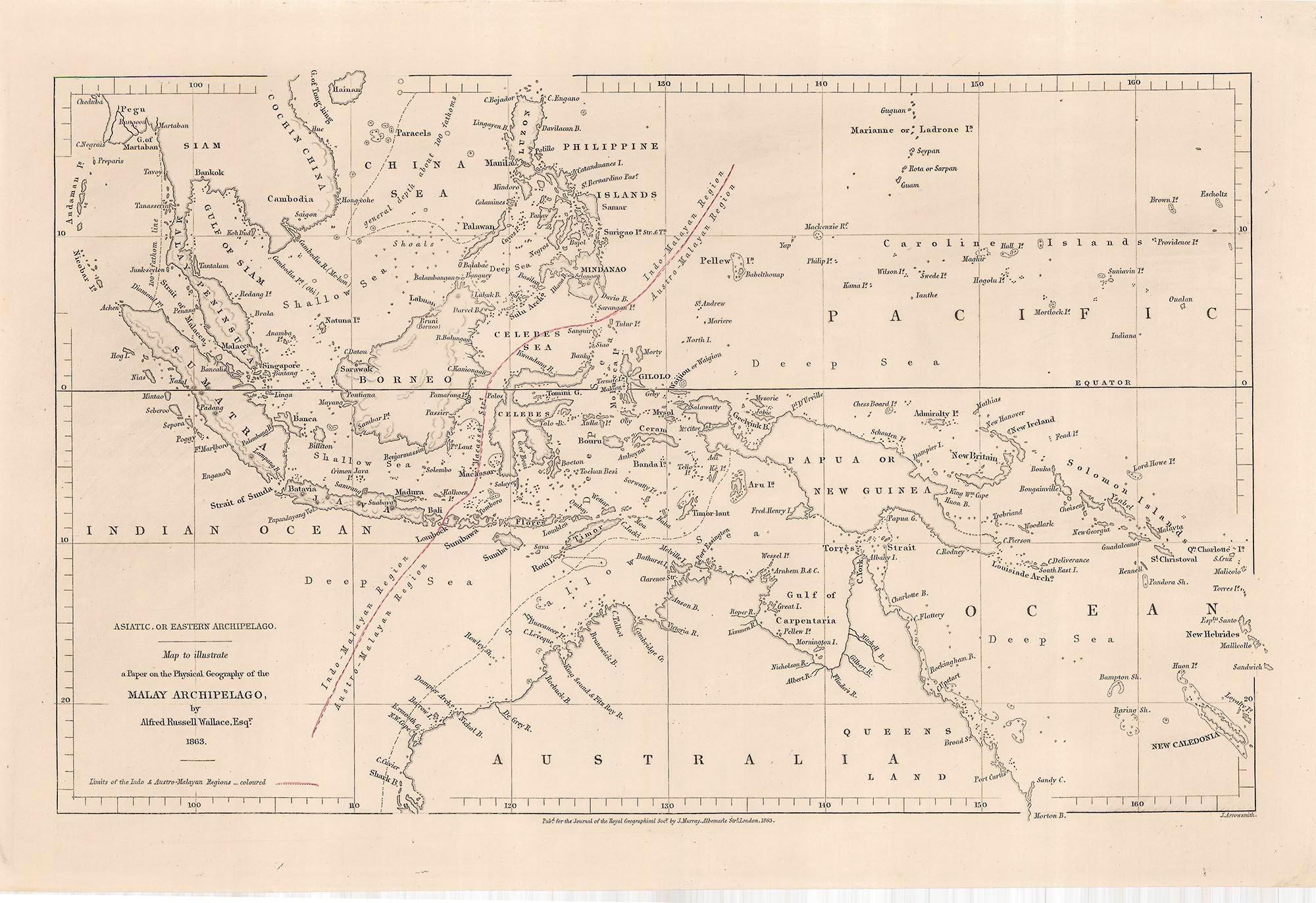 The Wallace Line divides the Indonesian islands of Bali and Lombok/© Royal Geographical Society (with IBG)
