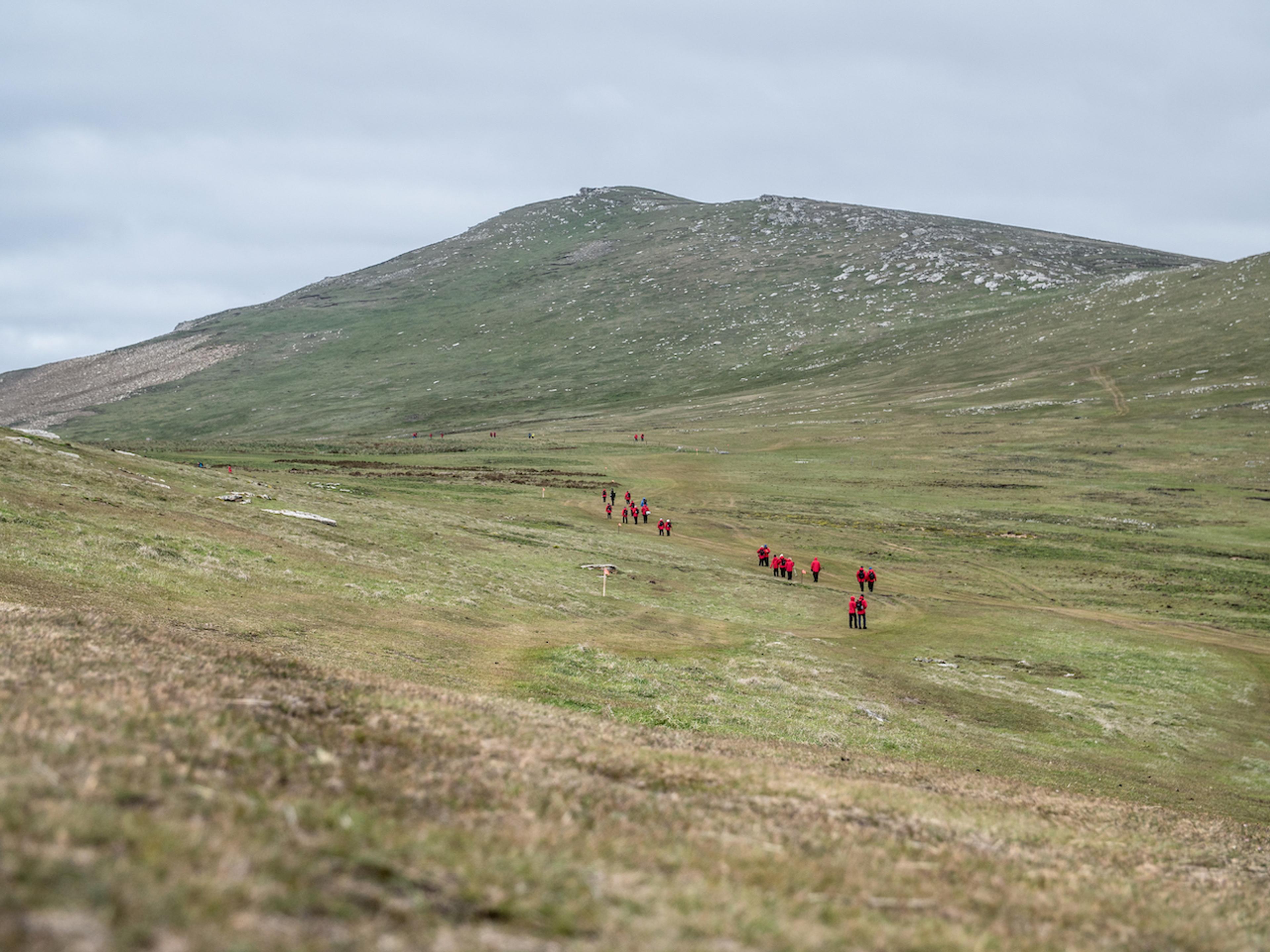 Silversea guests trek the windswept landscapes of West Point Island/Ross Vernon McDonald